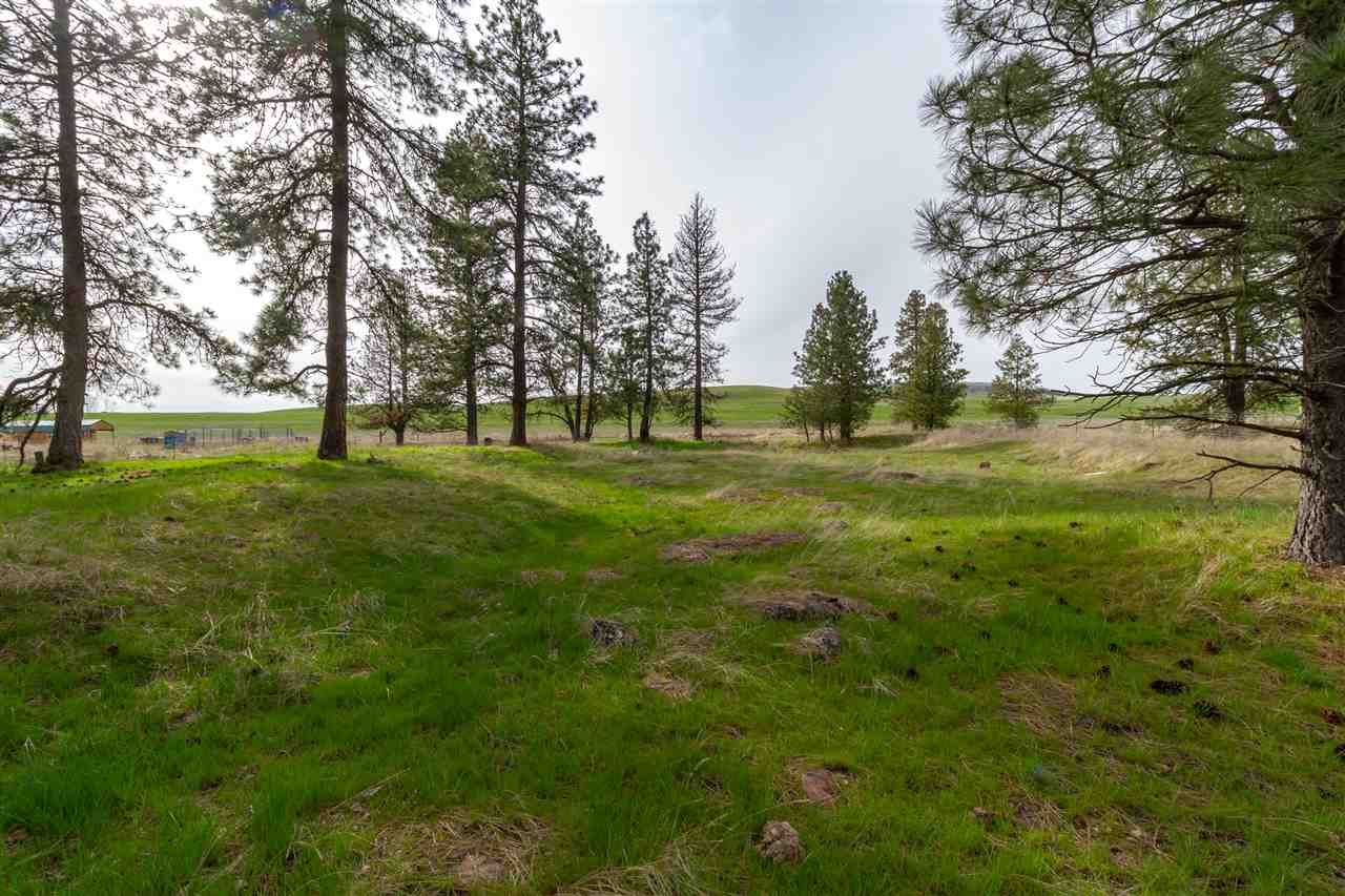 Lot 1 West Washington Road Cheney, WA 99004 - Photo 8 of 17