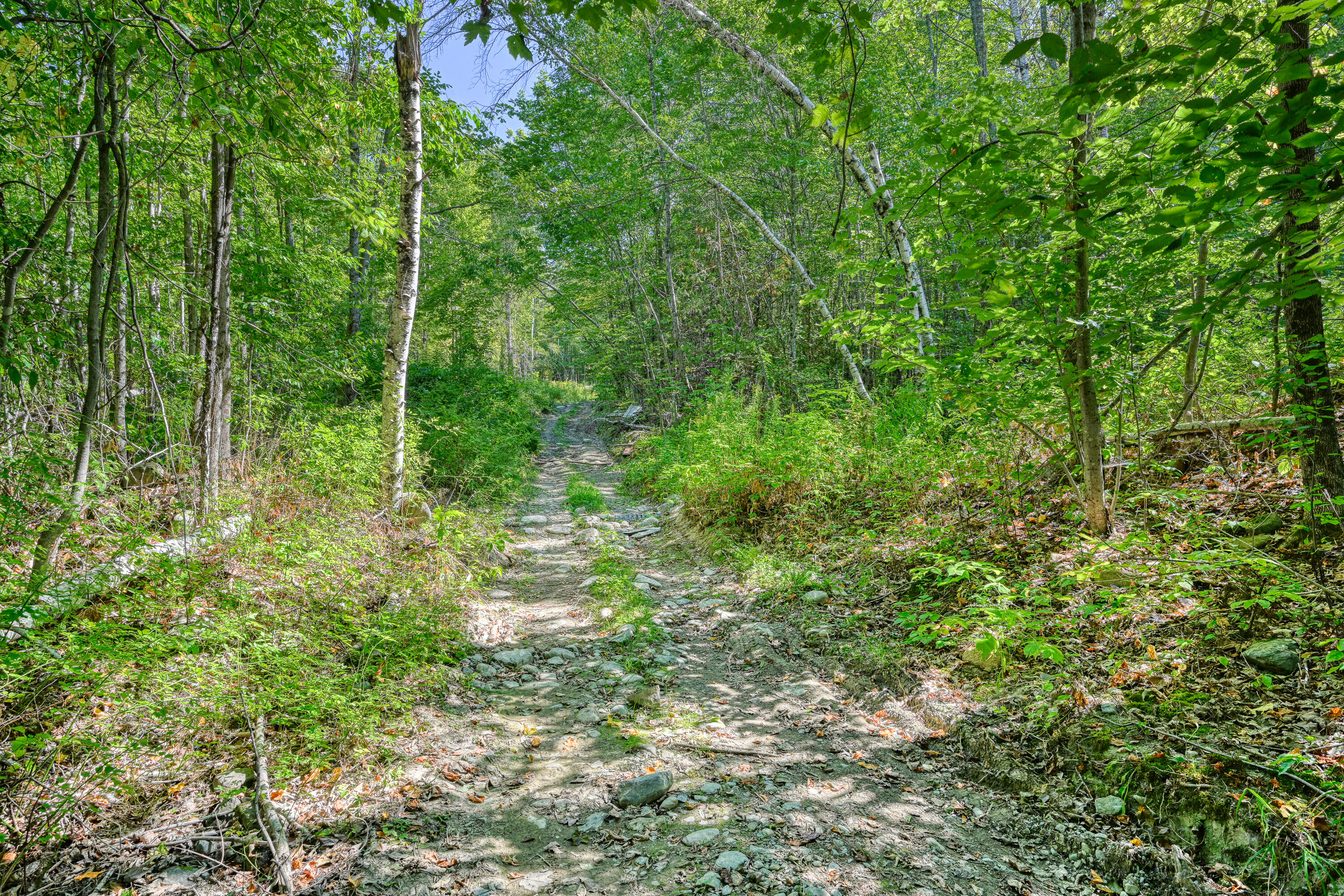 0 East Ridge Road Cornville, ME 04976 - Photo 4 of 11 4