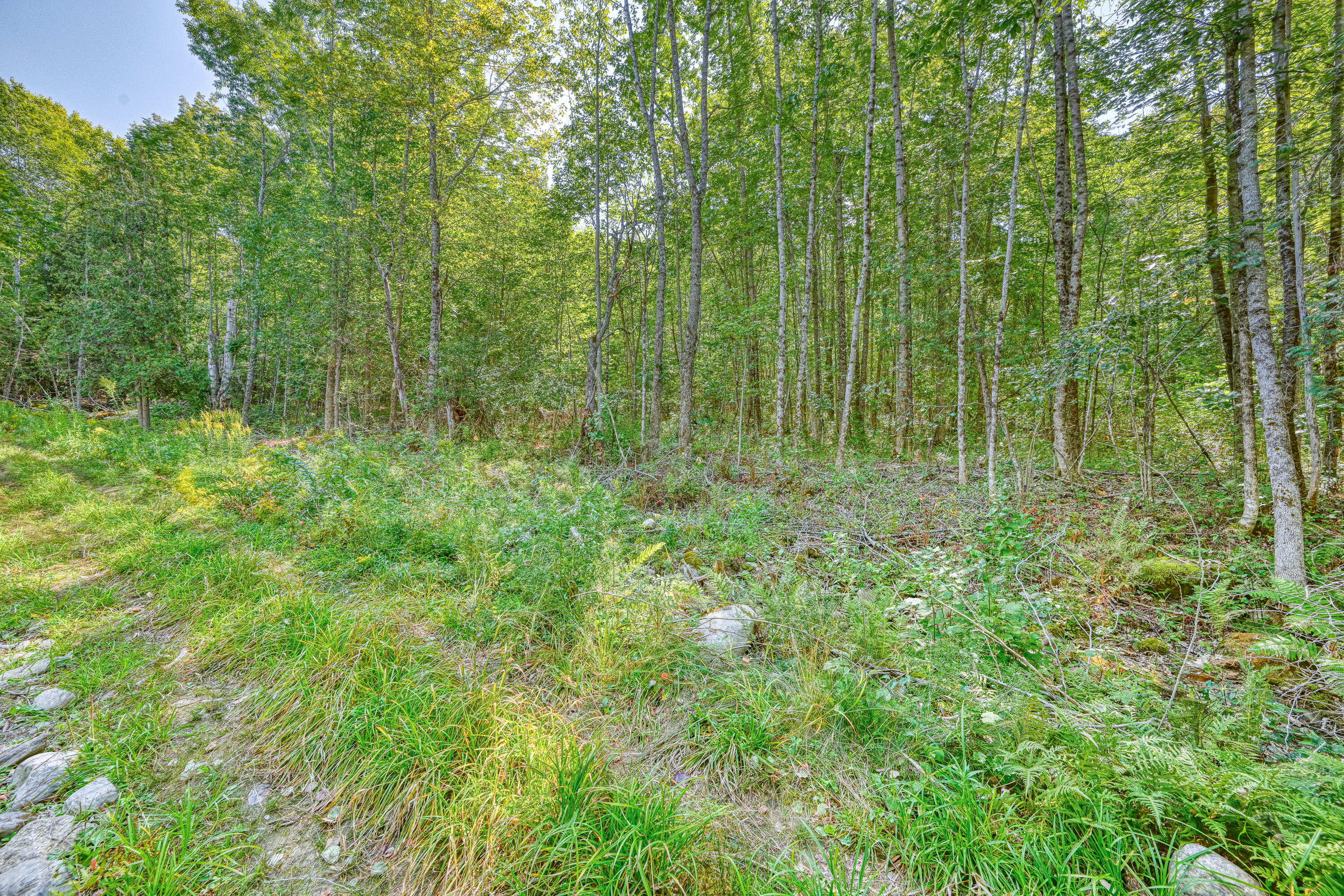 0 East Ridge Road Cornville, ME 04976 - Photo 6 of 11 6