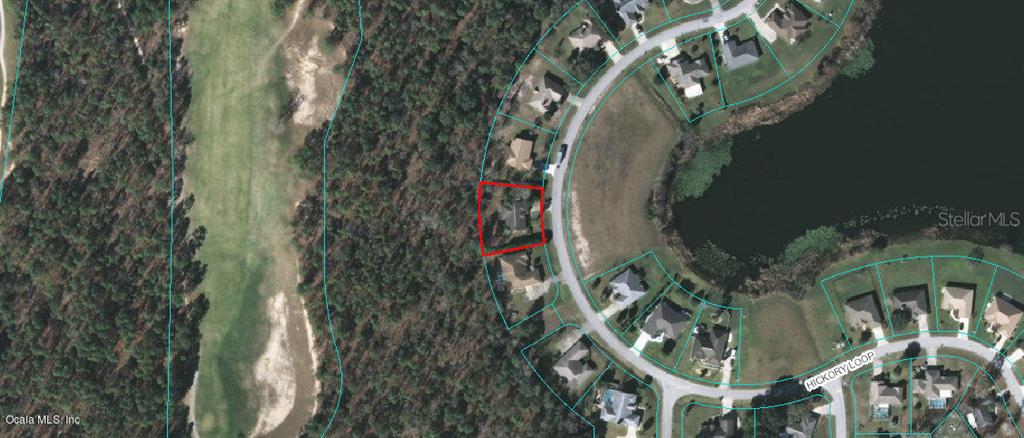 46 Hickory Loop Ocala, FL 34472 - Photo 71 of 71 get_image