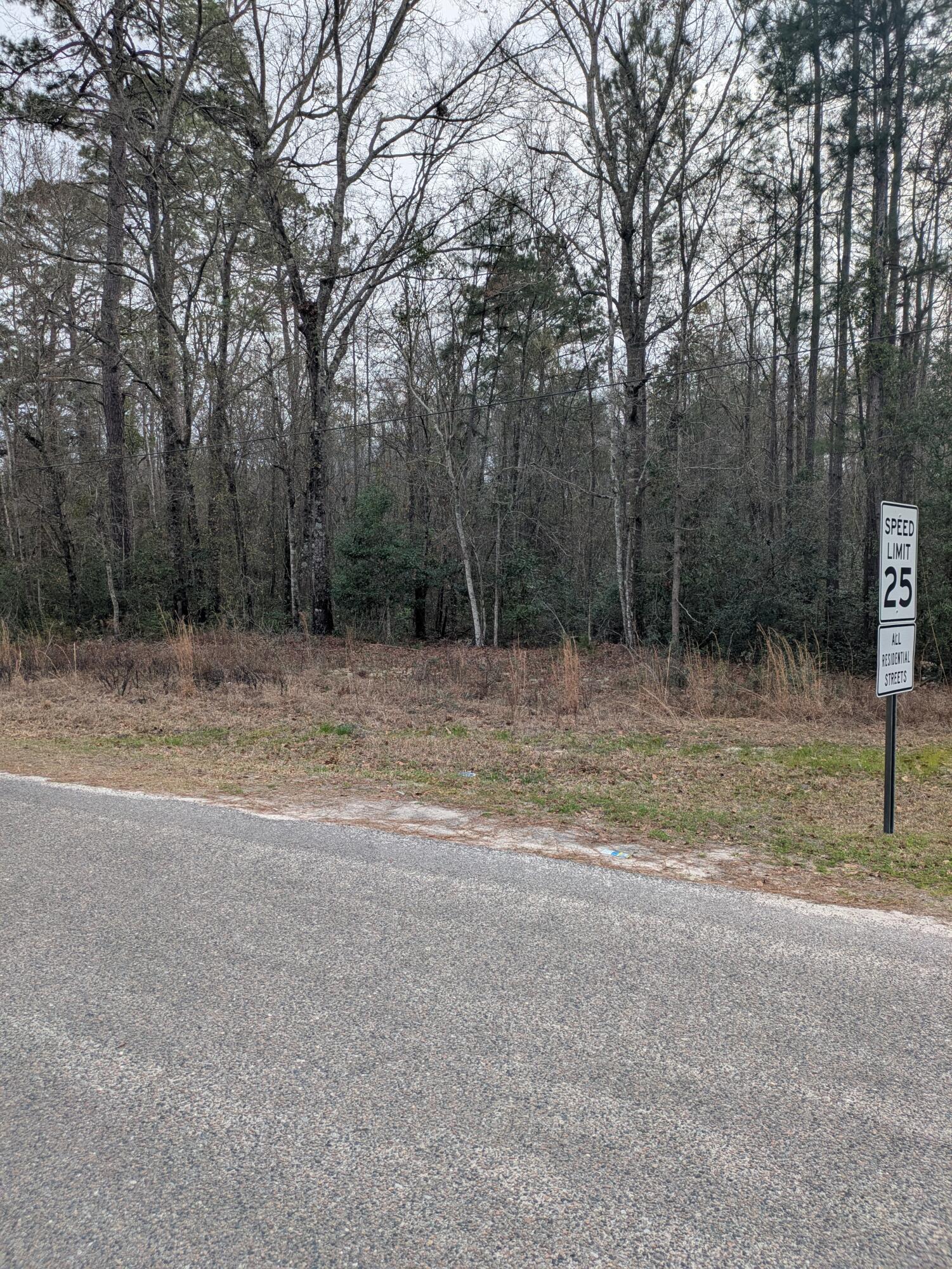 0 North Jefferies Boulevard Walterboro, SC 29488 - Photo 3 of 4 Pic 6