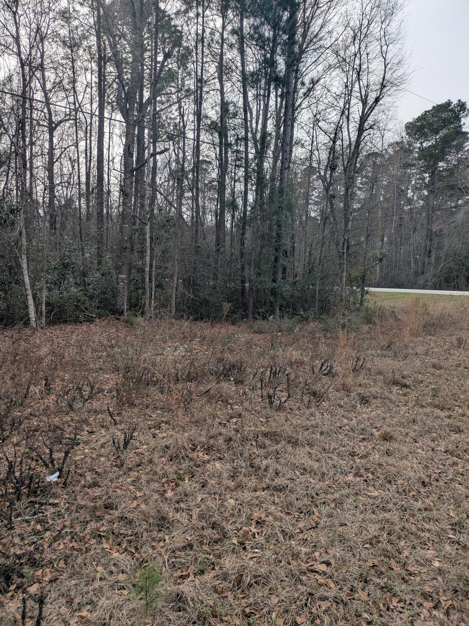 0 North Jefferies Boulevard Walterboro, SC 29488 - Photo 4 of 4 pic 2