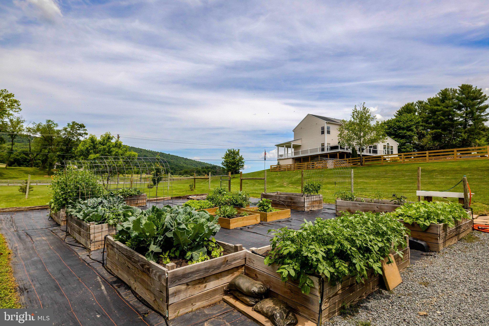 15002 Mountain Road Purcellville, VA 20132 - Photo 50 of 60 Vegetable and Flower Gardens ready to enjoy