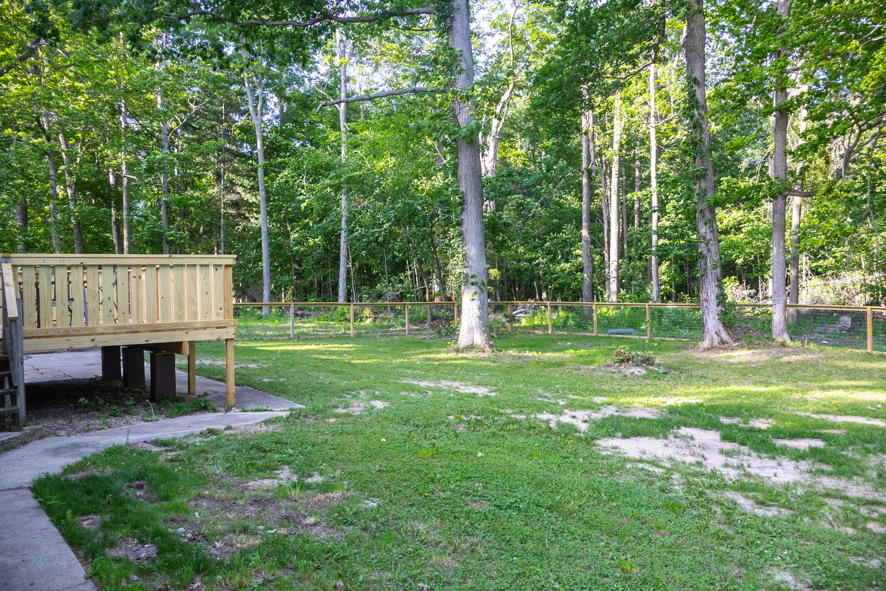 12449 California Road Sawyer, MI 49125 - Photo 37 of 52 Back yard