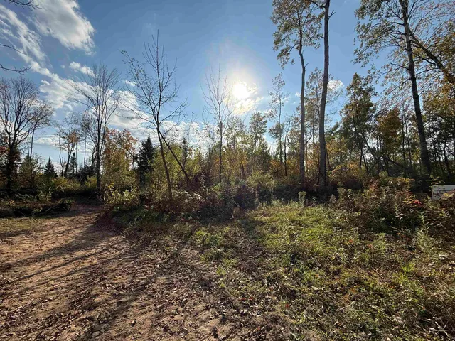 $40,000 | 52 Hwy Lily Wi 54491, White Lake, WI 54491