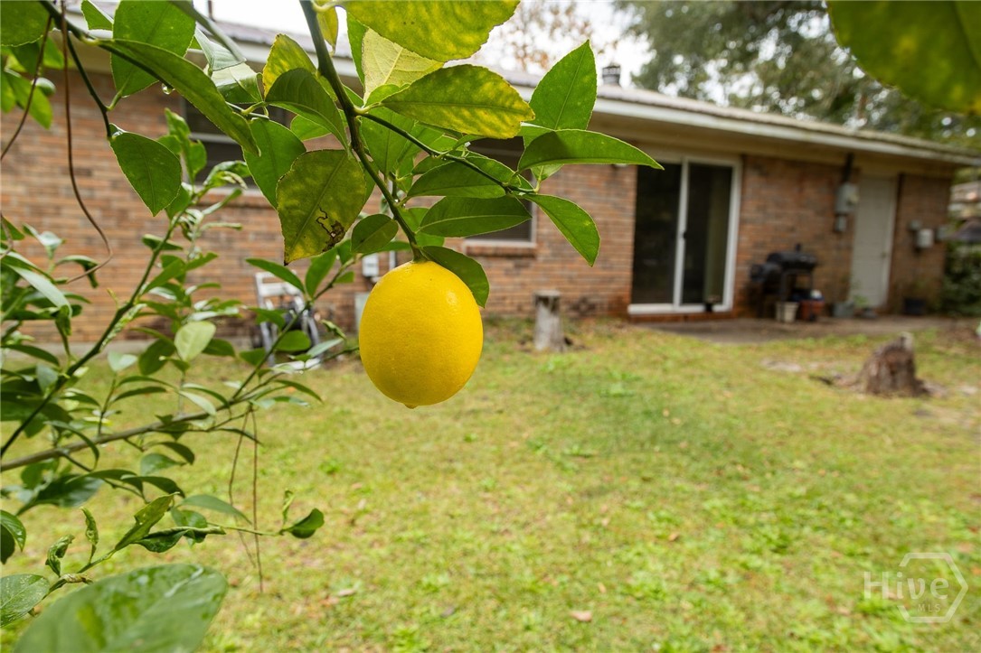 205 Whitehall Avenue Rincon, GA 31326 - Photo 5 of 5 Fruit bearing tree