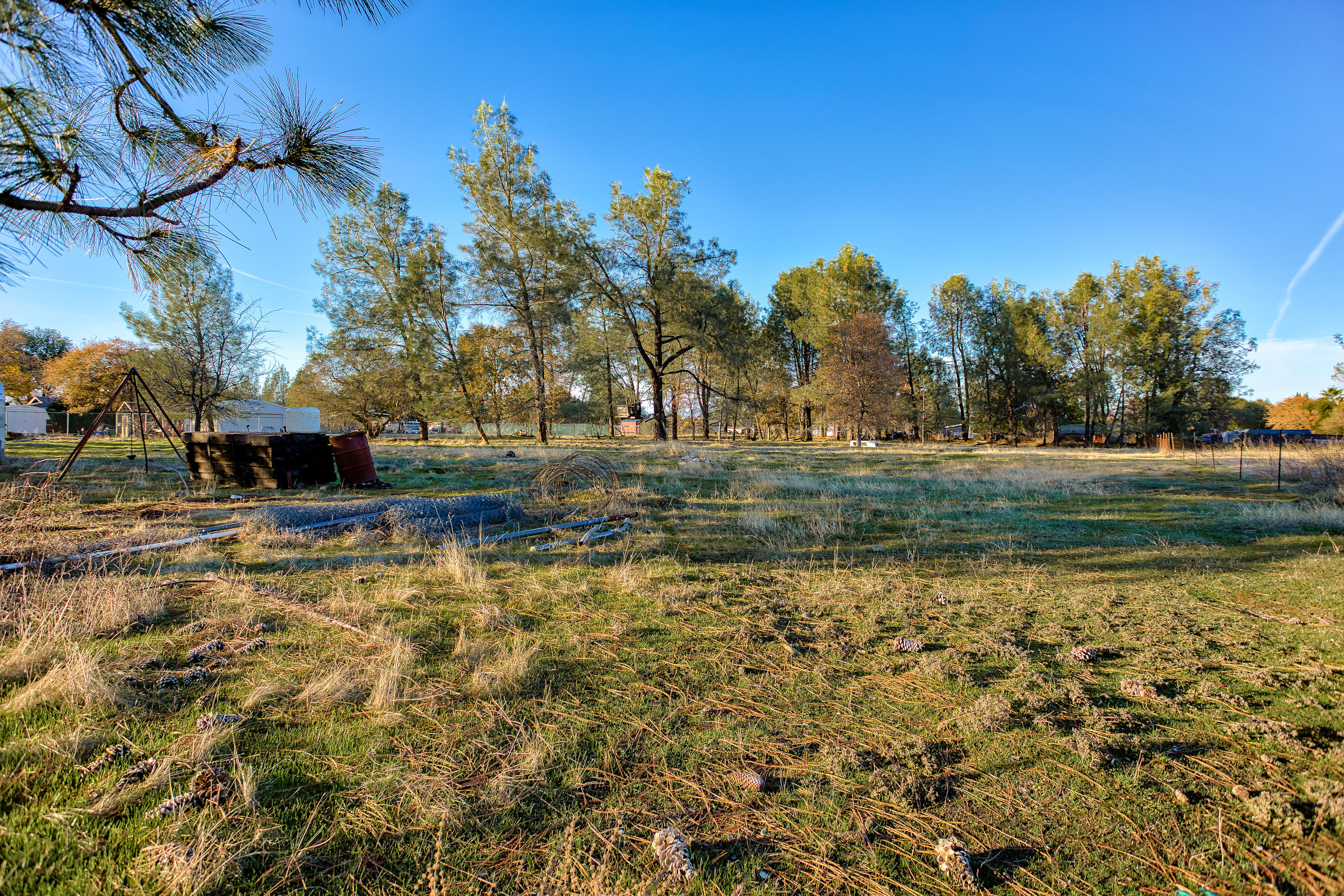 17086 Olinda Road Anderson, CA 96007 - Photo 67 of 92 Bring all the animals too