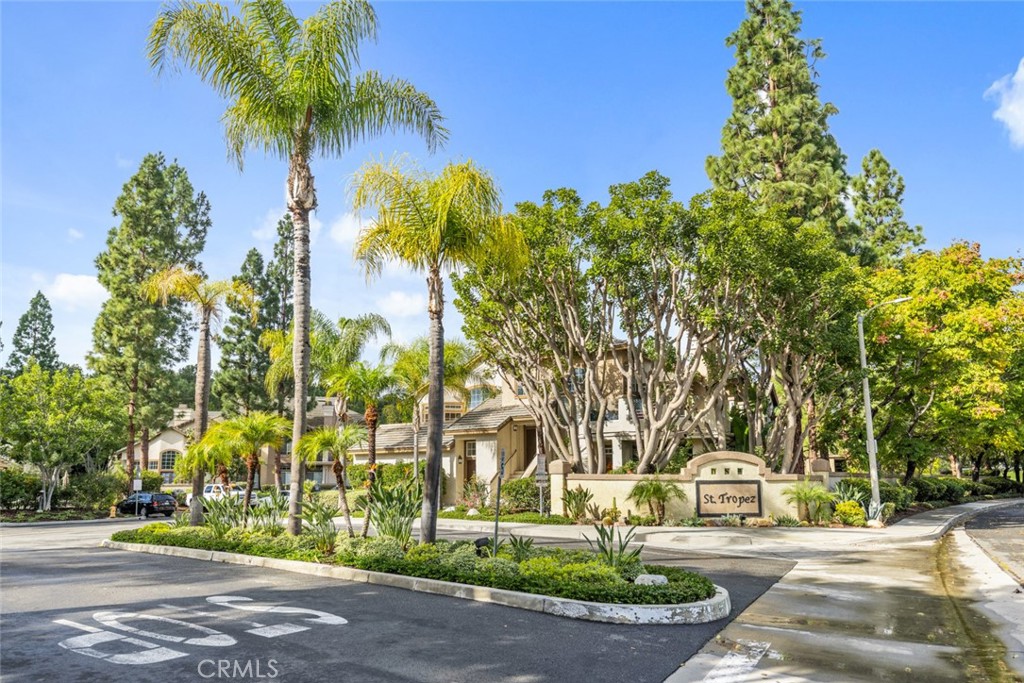 5 Montara Drive Aliso Viejo, CA 92656 - Photo 26 of 26 a palm tree sitting in front of a building