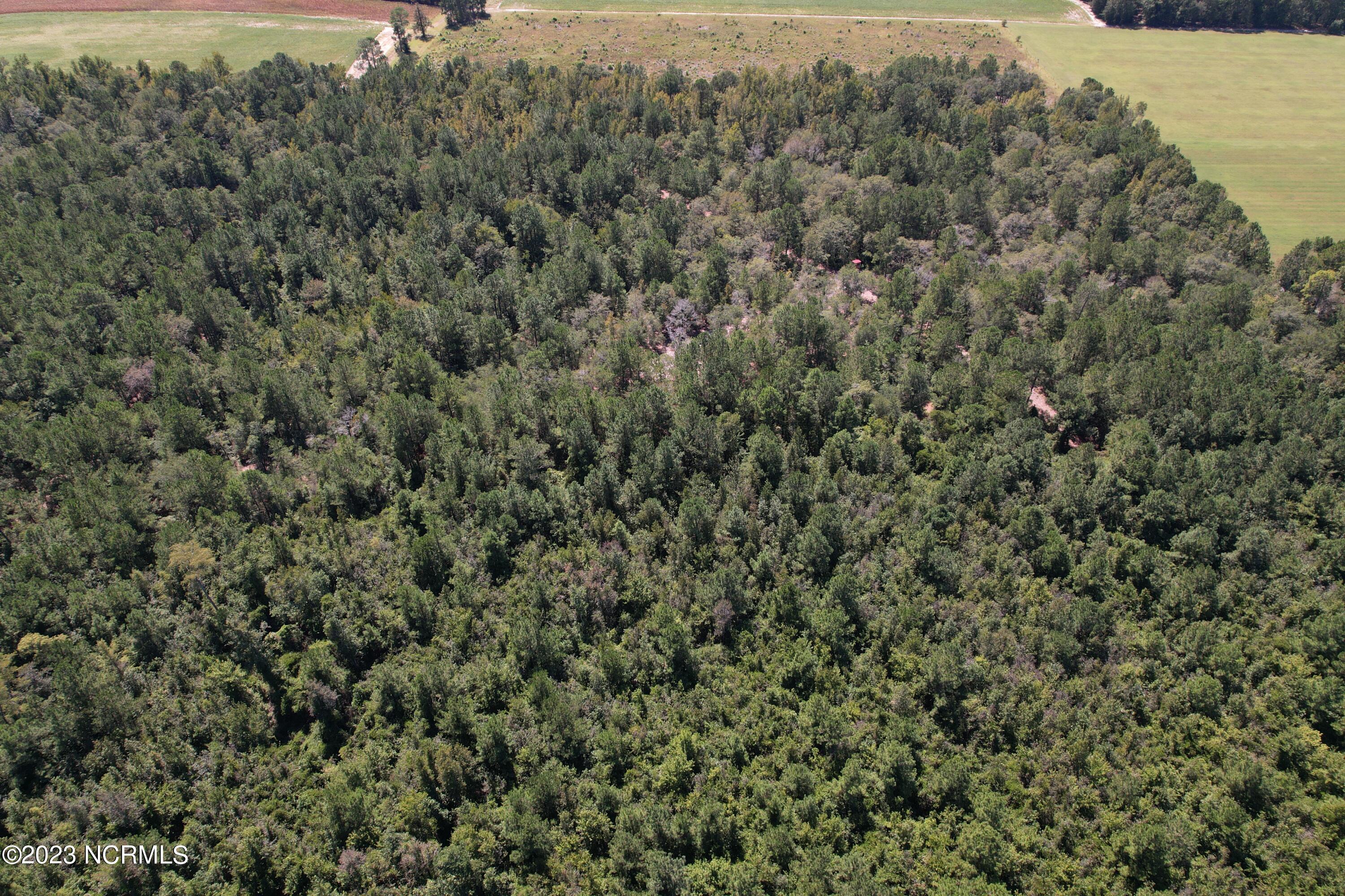 Off Macedonia Church Road Evergreen, NC 28438 - Photo 11 of 30 Image 9