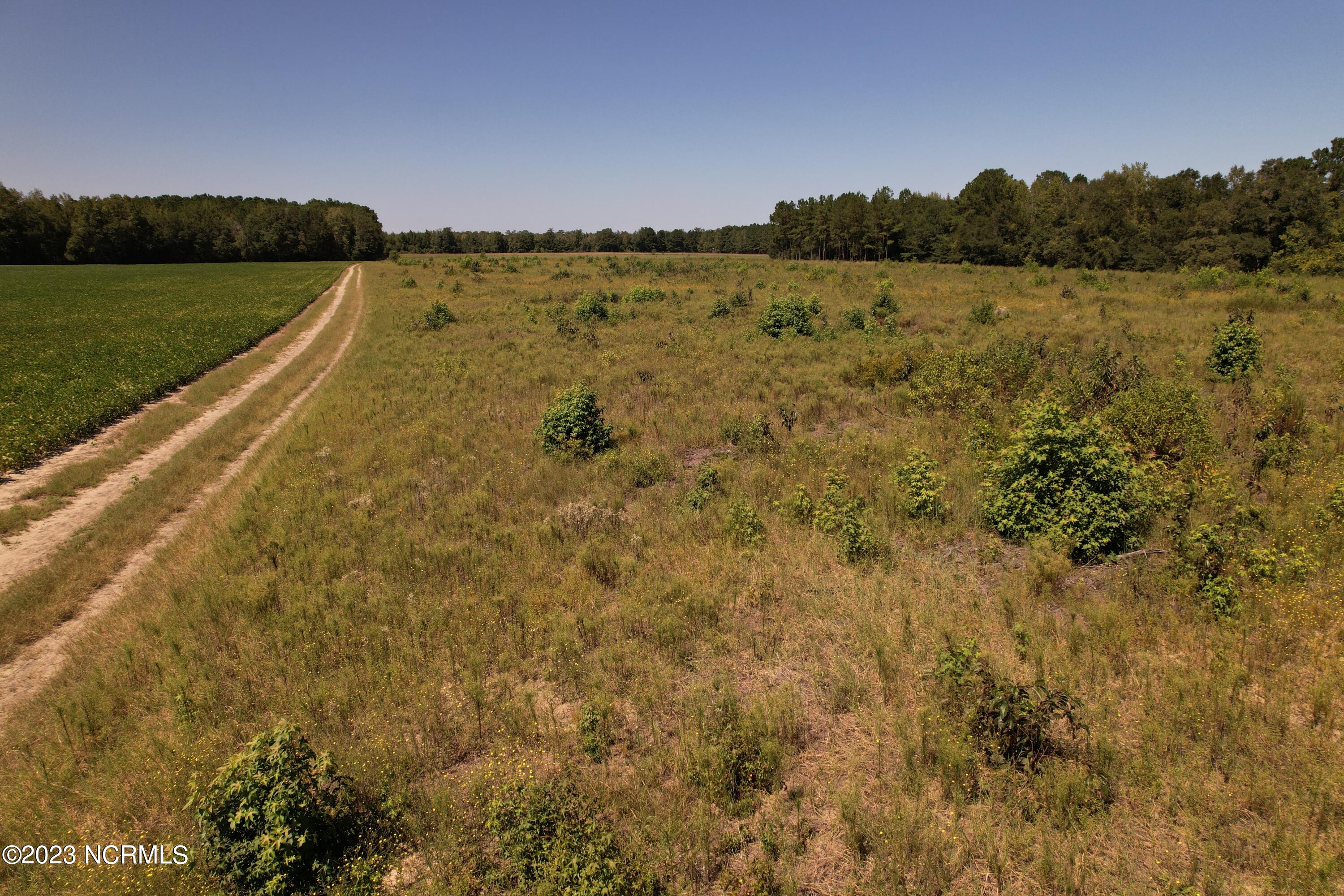 Off Macedonia Church Road Evergreen, NC 28438 - Photo 12 of 30 Image 10