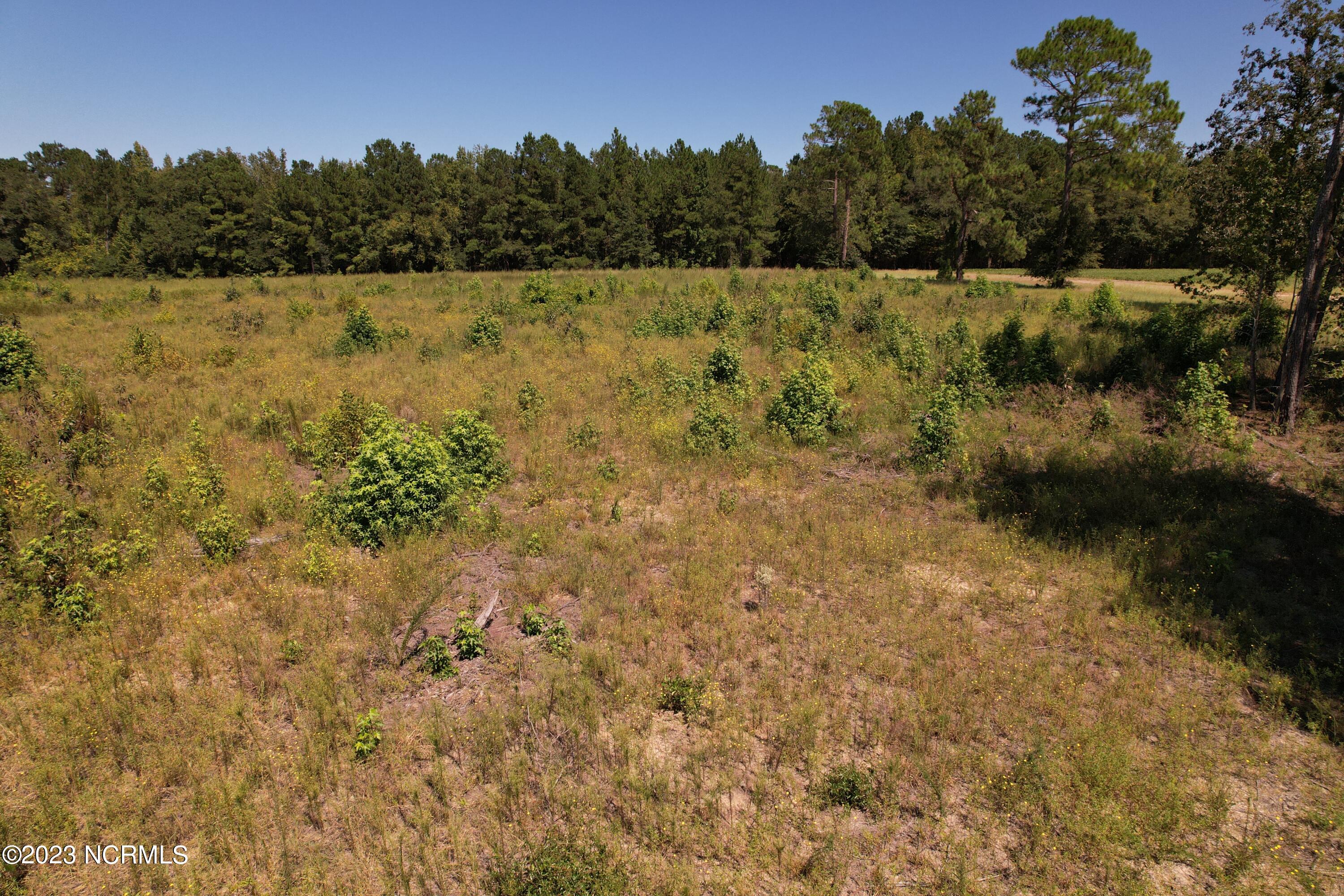 Off Macedonia Church Road Evergreen, NC 28438 - Photo 14 of 30 Image 12