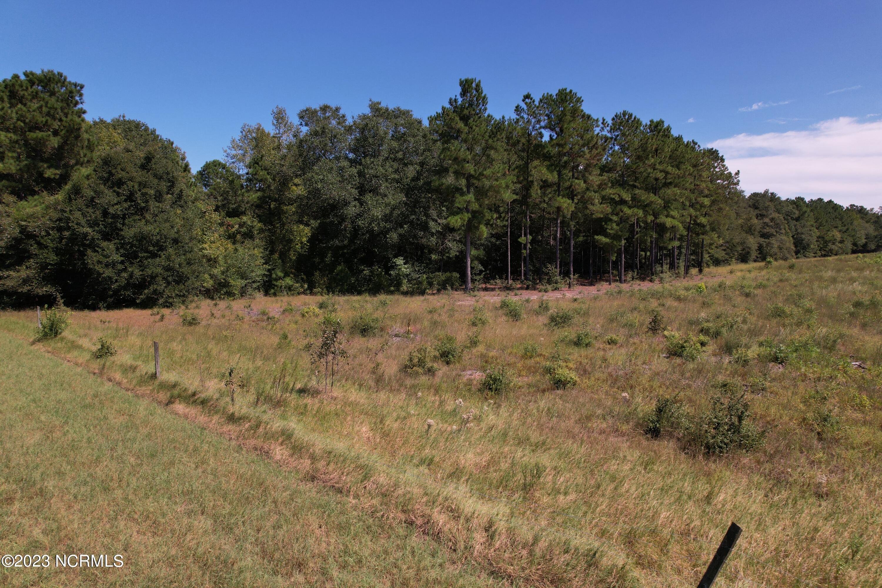 Off Macedonia Church Road Evergreen, NC 28438 - Photo 17 of 30 Image 15