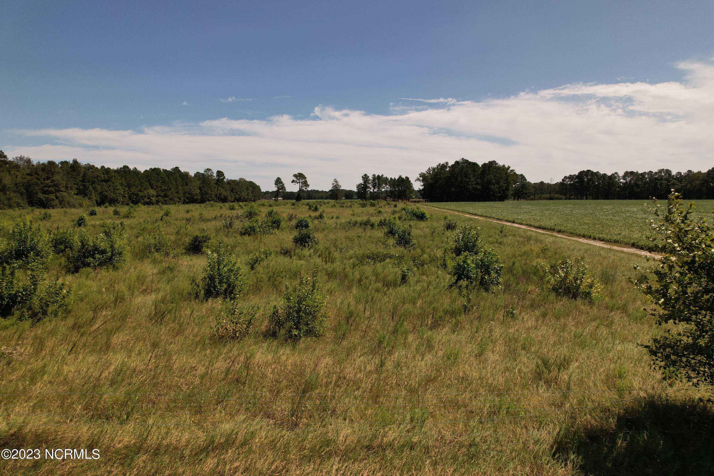 Off Macedonia Church Road Evergreen, NC 28438 - Photo 18 of 30 Image 16
