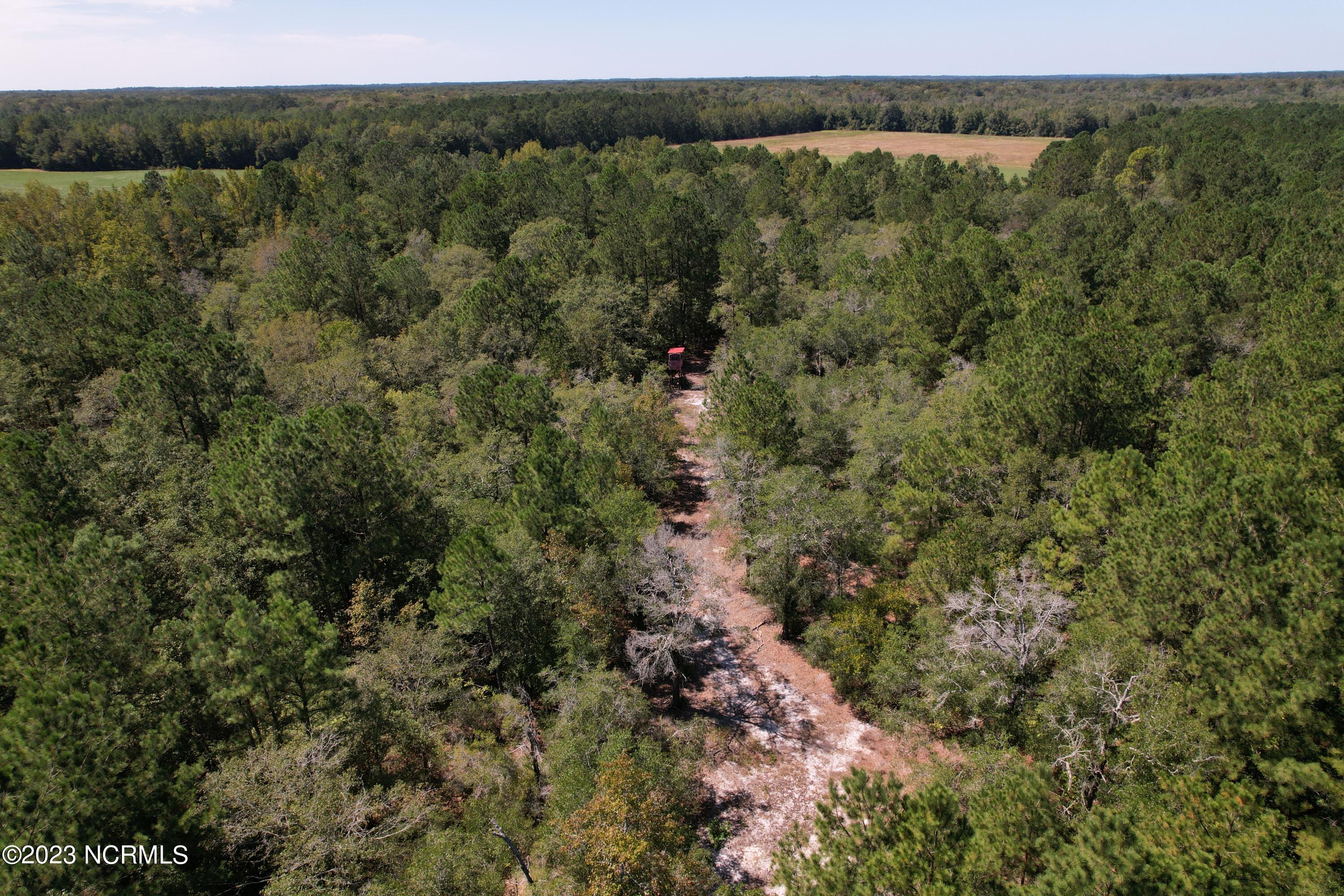 Off Macedonia Church Road Evergreen, NC 28438 - Photo 19 of 30 Image 17