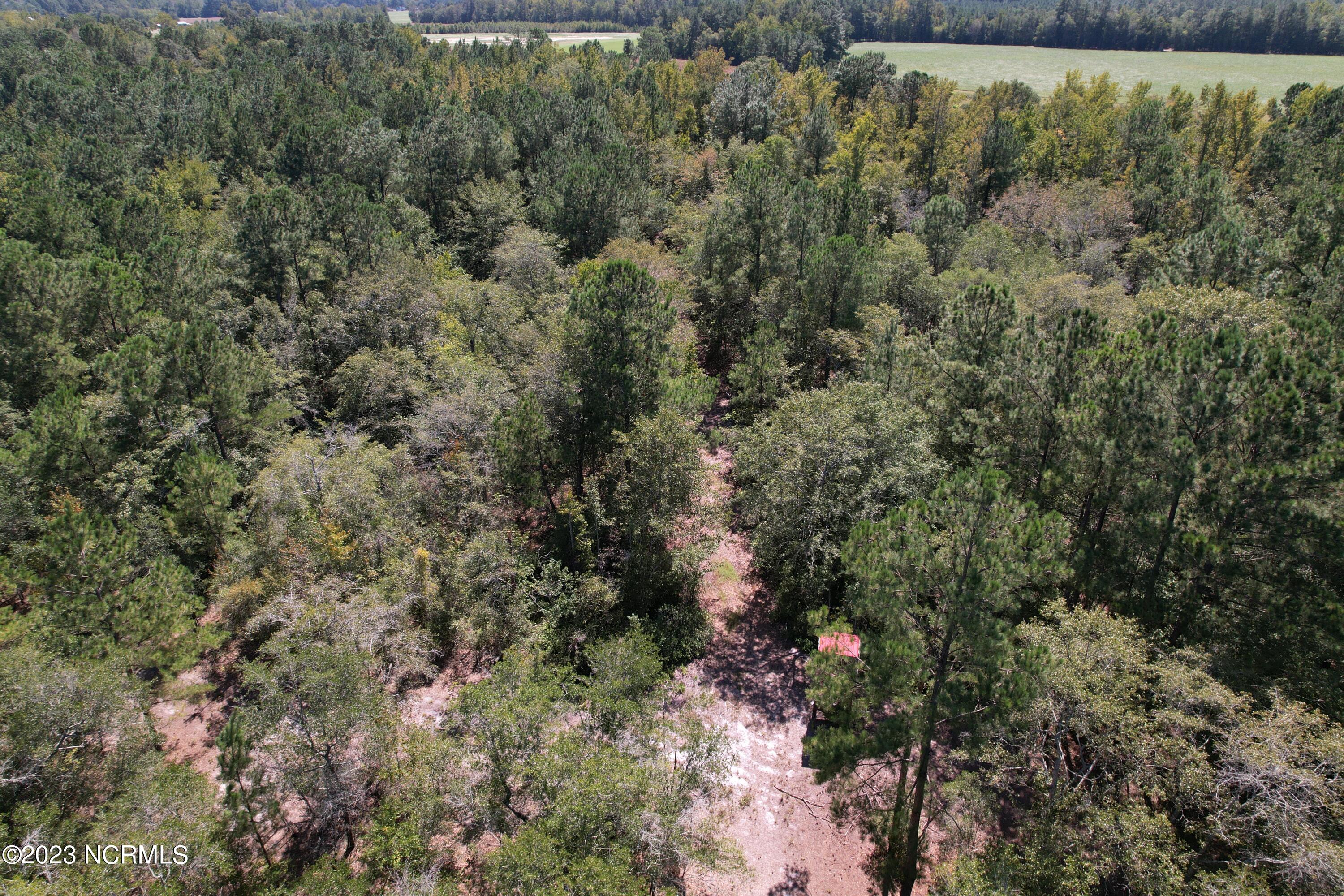 Off Macedonia Church Road Evergreen, NC 28438 - Photo 20 of 30 Image 1