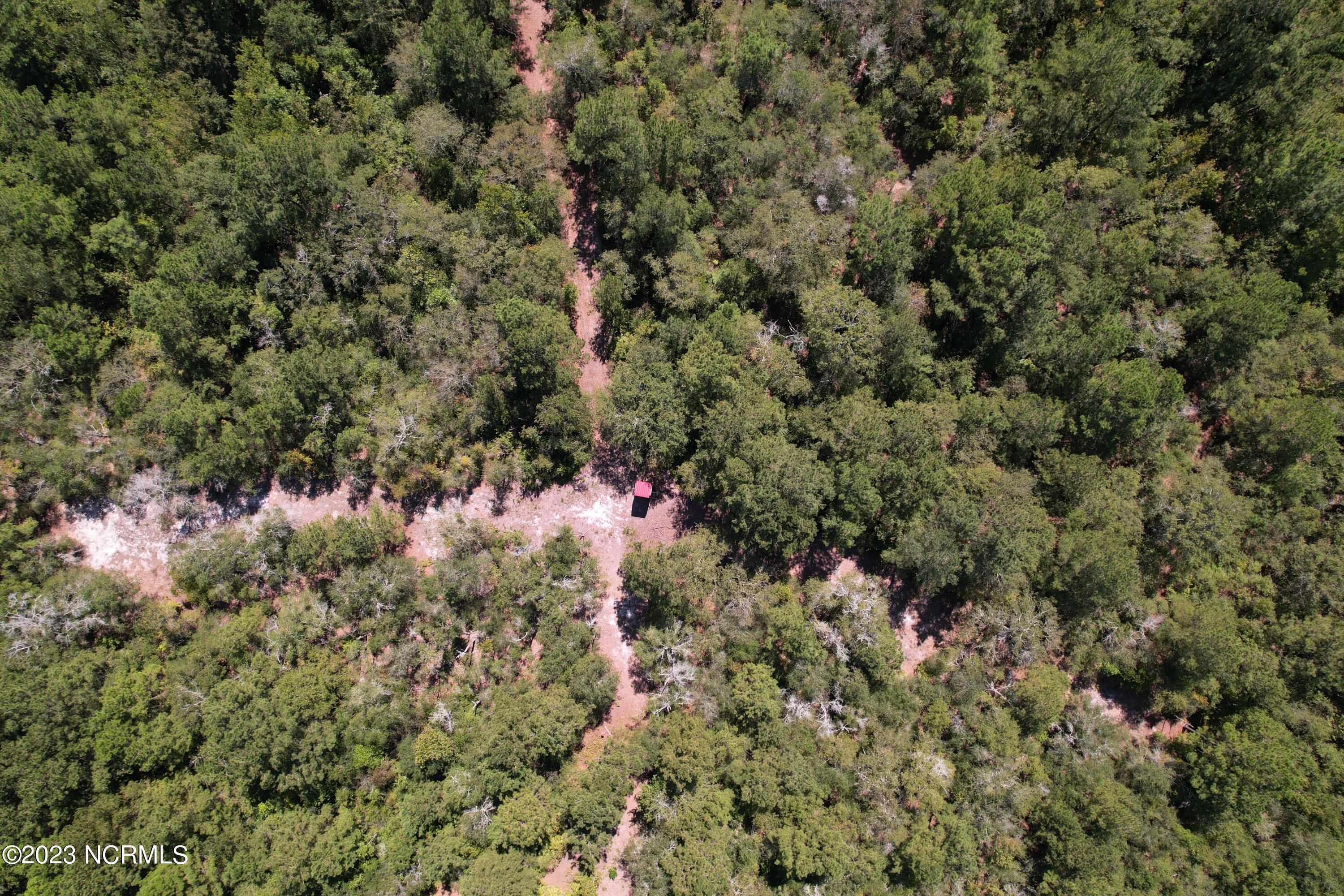 Off Macedonia Church Road Evergreen, NC 28438 - Photo 21 of 30 Image 19