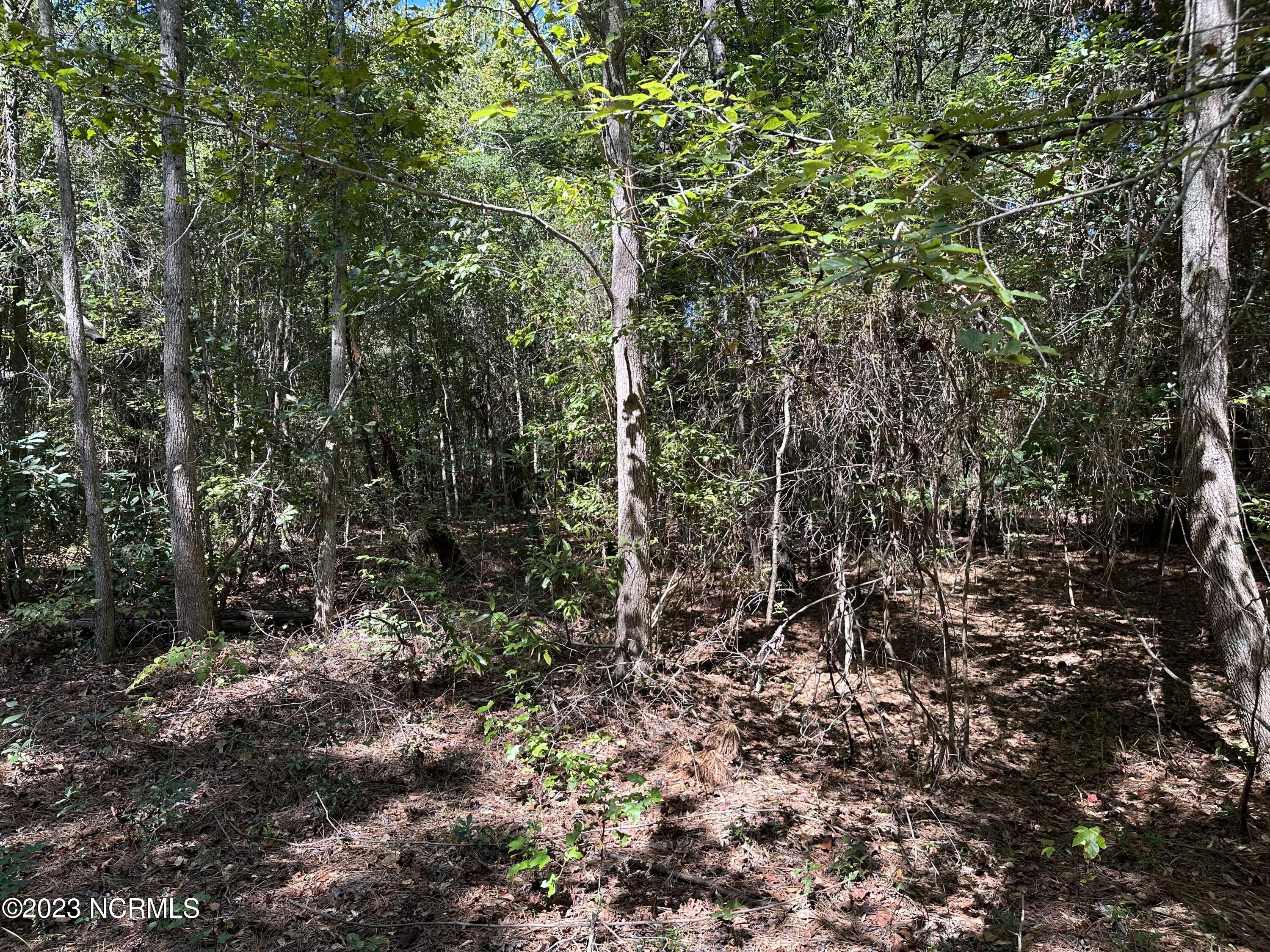 Off Macedonia Church Road Evergreen, NC 28438 - Photo 23 of 30 Image 21