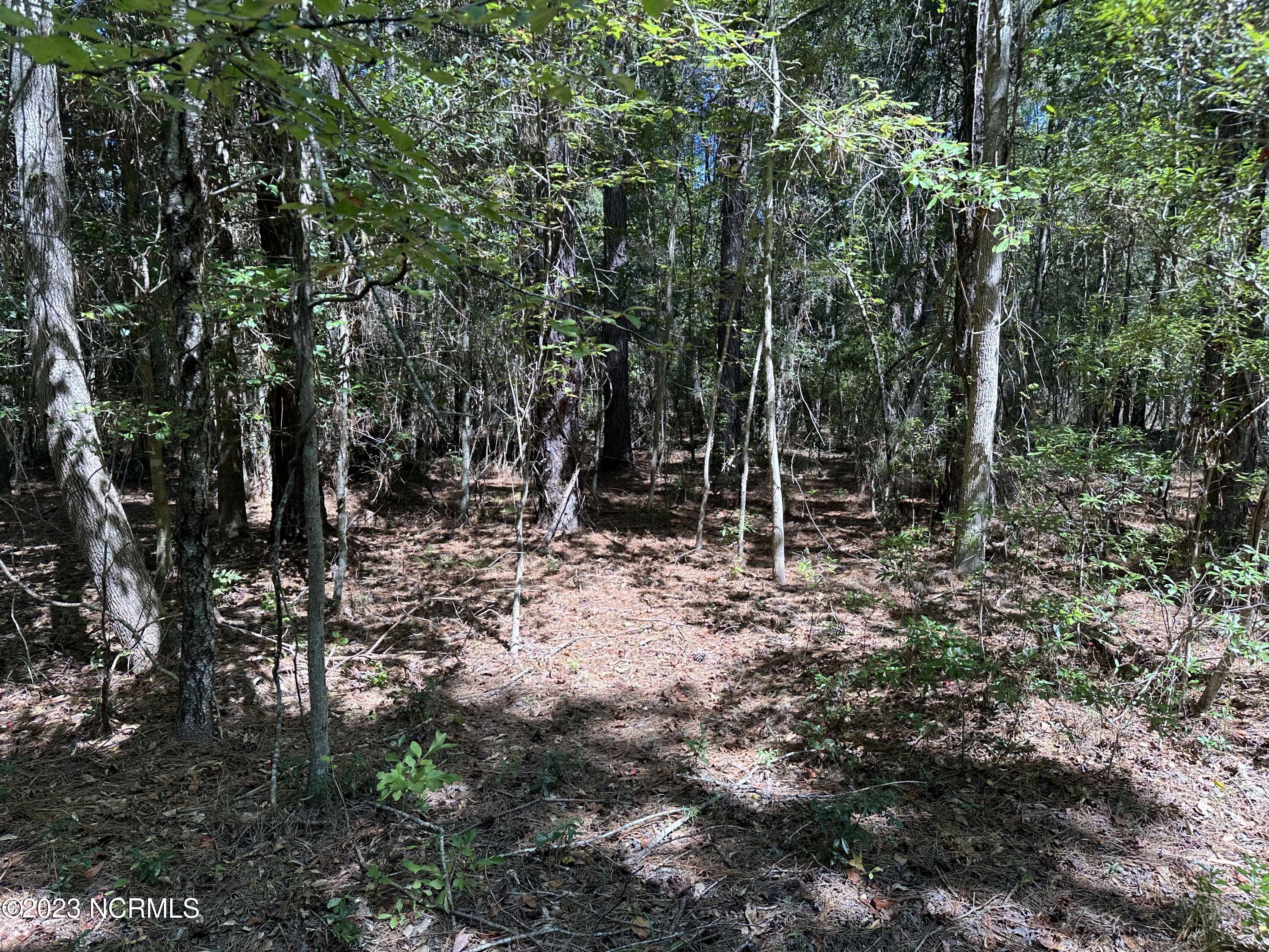 Off Macedonia Church Road Evergreen, NC 28438 - Photo 24 of 30 Image 22
