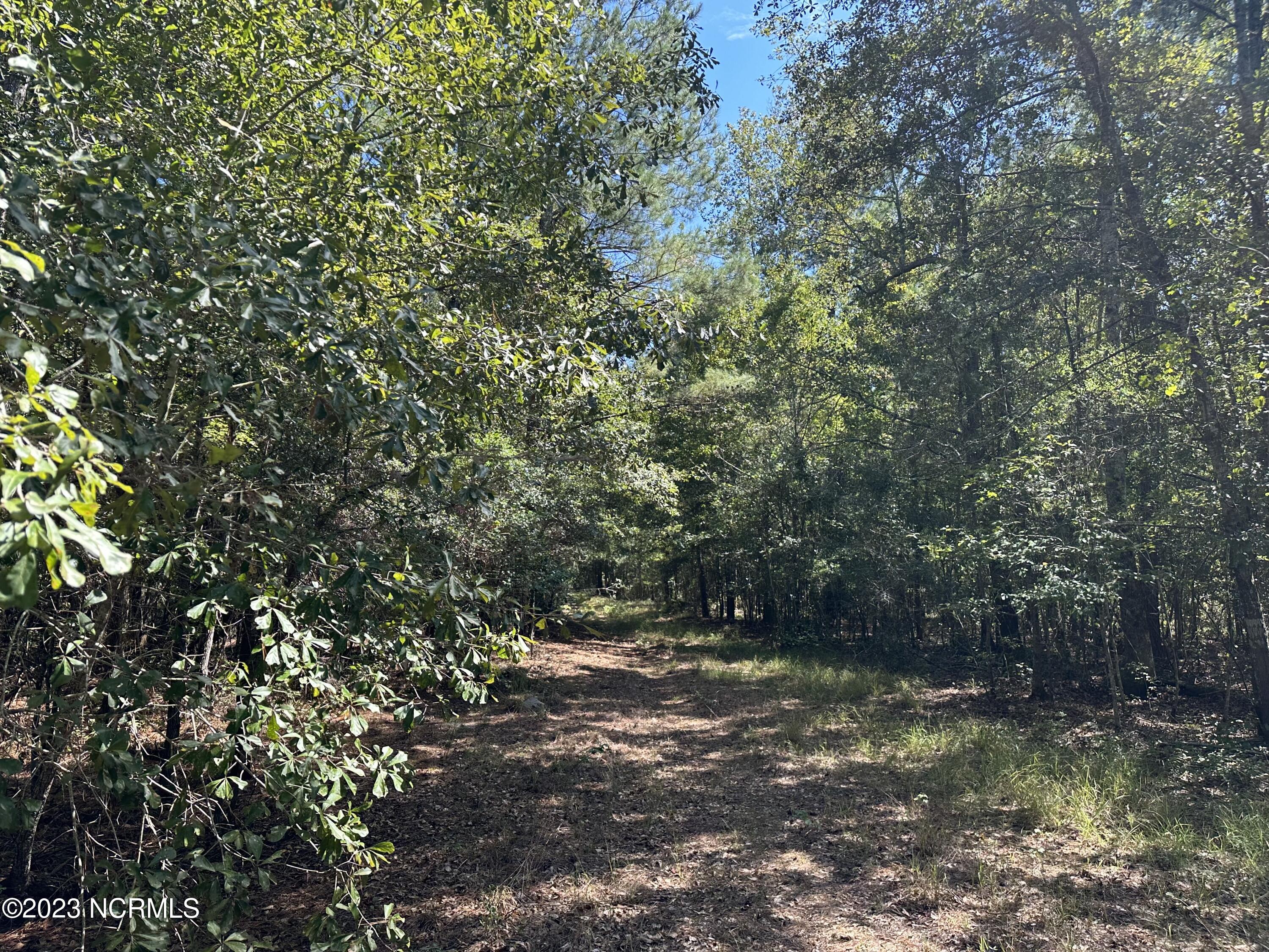 Off Macedonia Church Road Evergreen, NC 28438 - Photo 27 of 30 Image 25 (3)