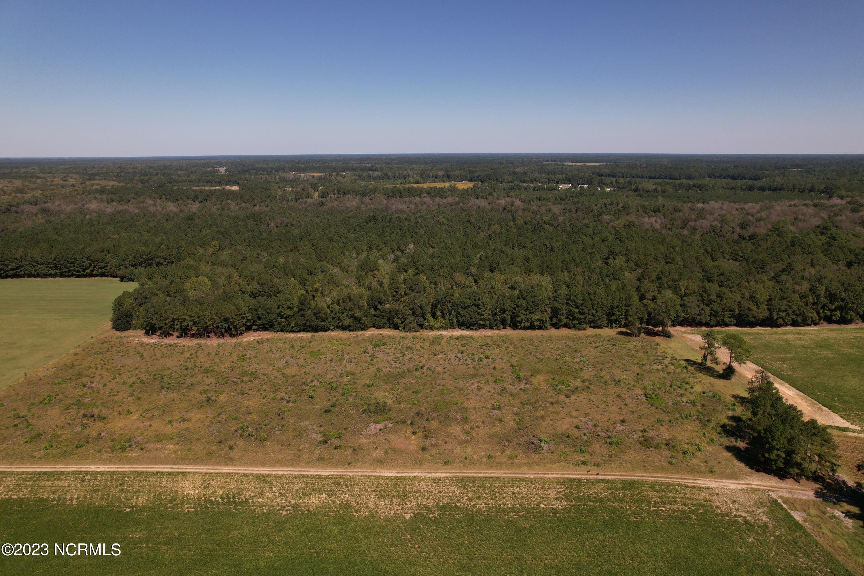 Off Macedonia Church Road Evergreen, NC 28438 - Photo 3 of 30 Image 1