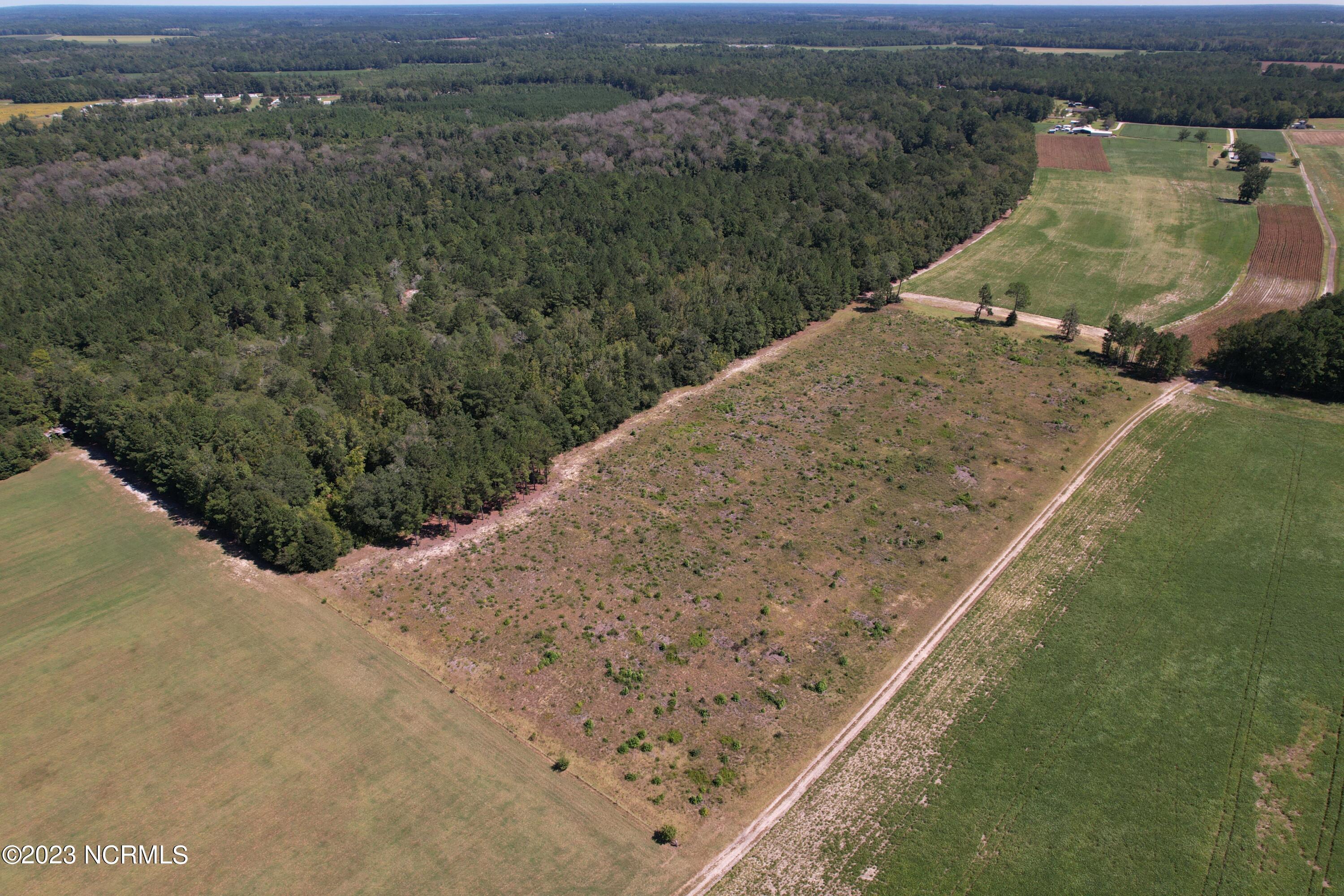 Off Macedonia Church Road Evergreen, NC 28438 - Photo 4 of 30 Image 2