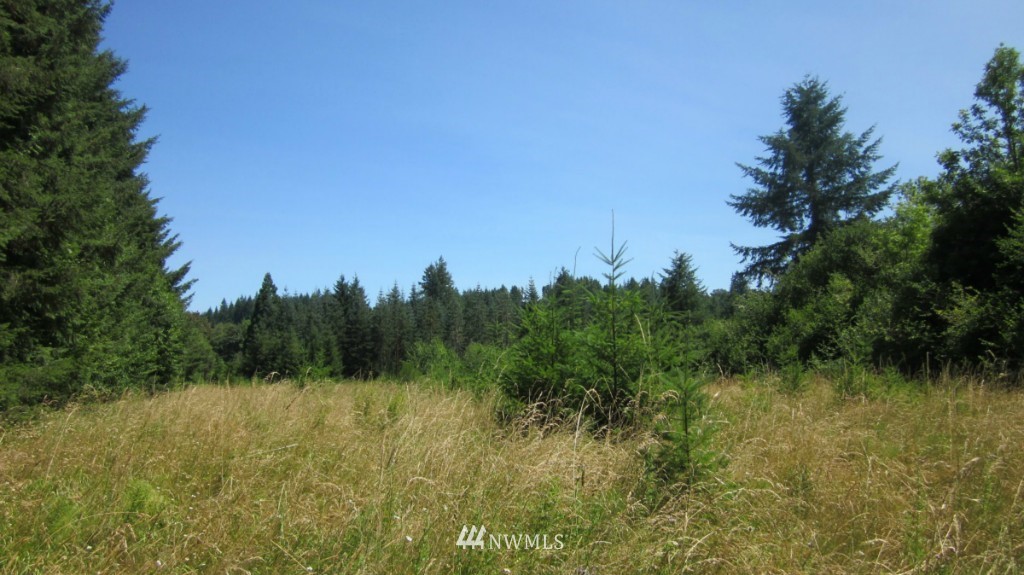 112 Brim Creek Road Vader, WA 98593 - Photo 11 of 25