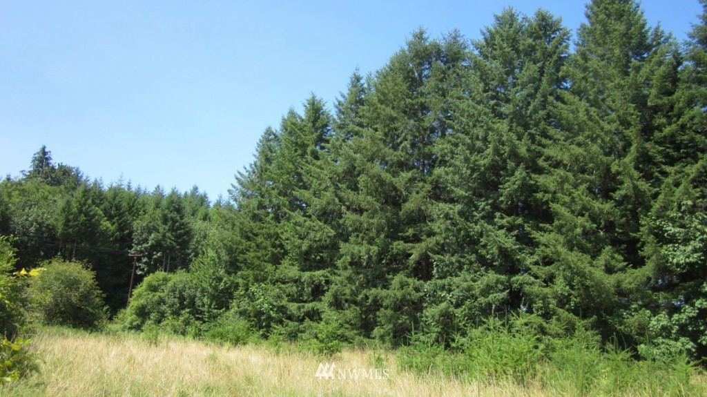 112 Brim Creek Road Vader, WA 98593 - Photo 15 of 25