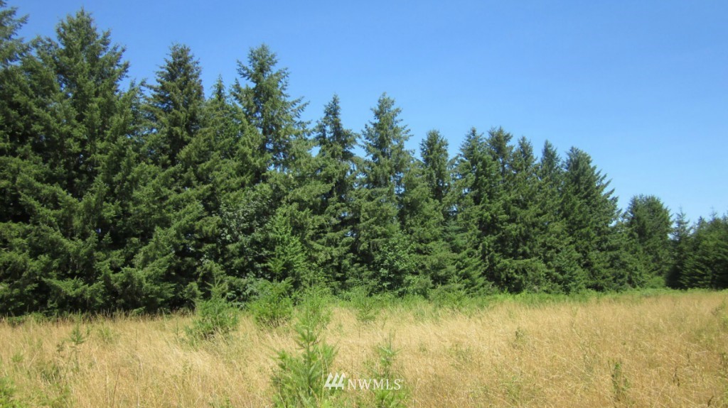 112 Brim Creek Road Vader, WA 98593 - Photo 16 of 25