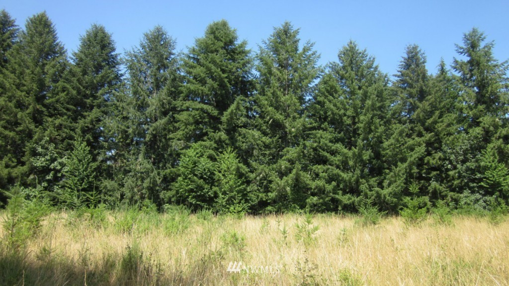 112 Brim Creek Road Vader, WA 98593 - Photo 17 of 25