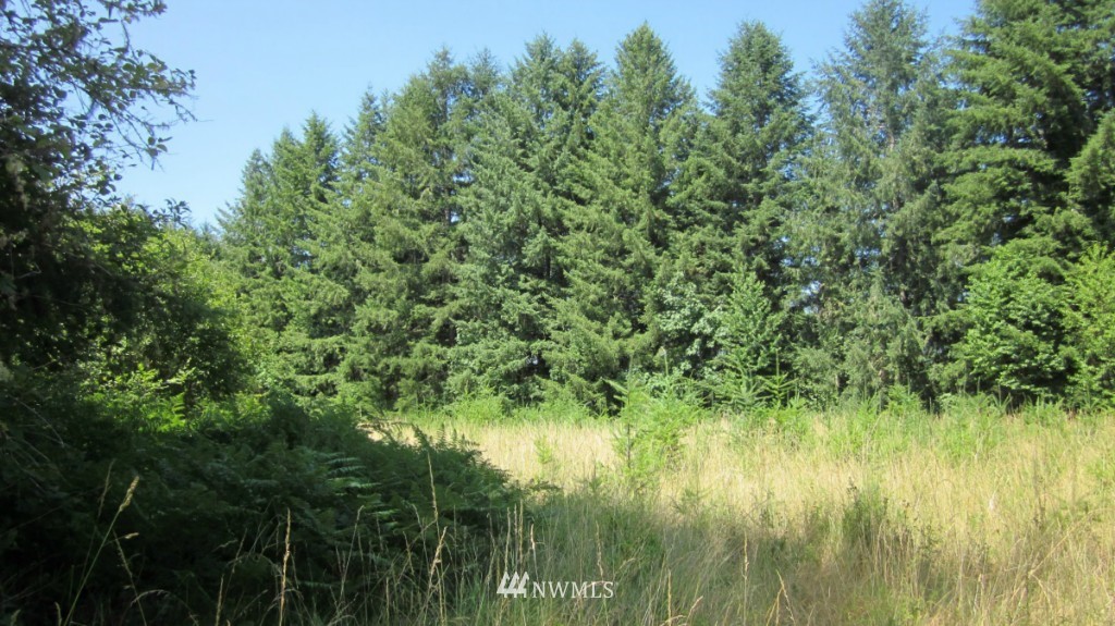 112 Brim Creek Road Vader, WA 98593 - Photo 18 of 25
