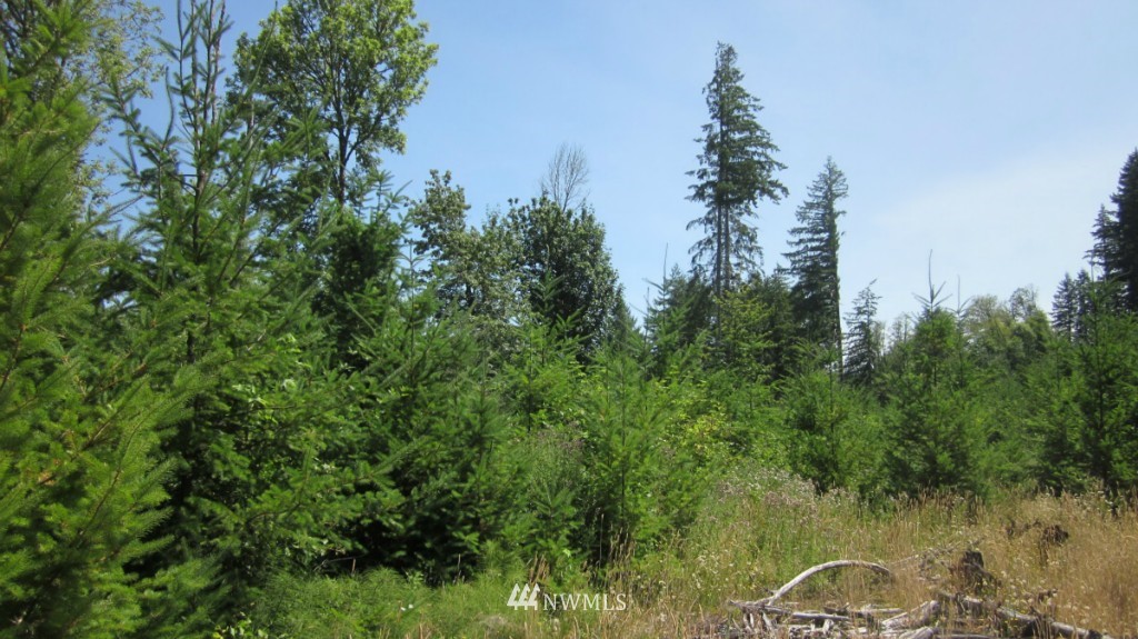 112 Brim Creek Road Vader, WA 98593 - Photo 19 of 25