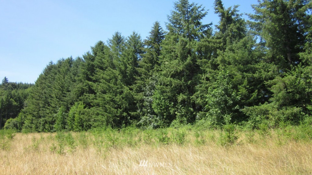 112 Brim Creek Road Vader, WA 98593 - Photo 23 of 25
