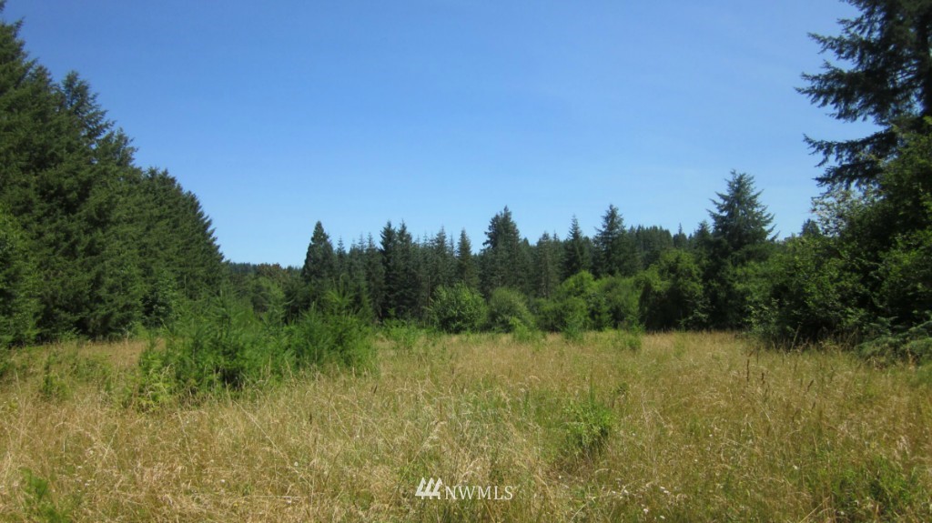 112 Brim Creek Road Vader, WA 98593 - Photo 24 of 25