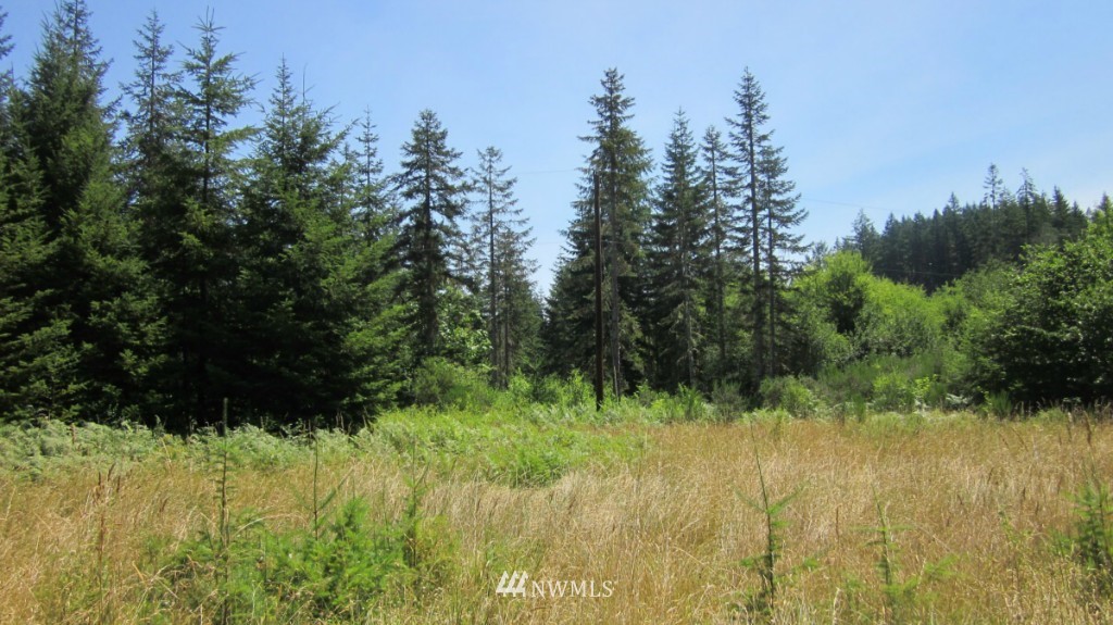 112 Brim Creek Road Vader, WA 98593 - Photo 4 of 25