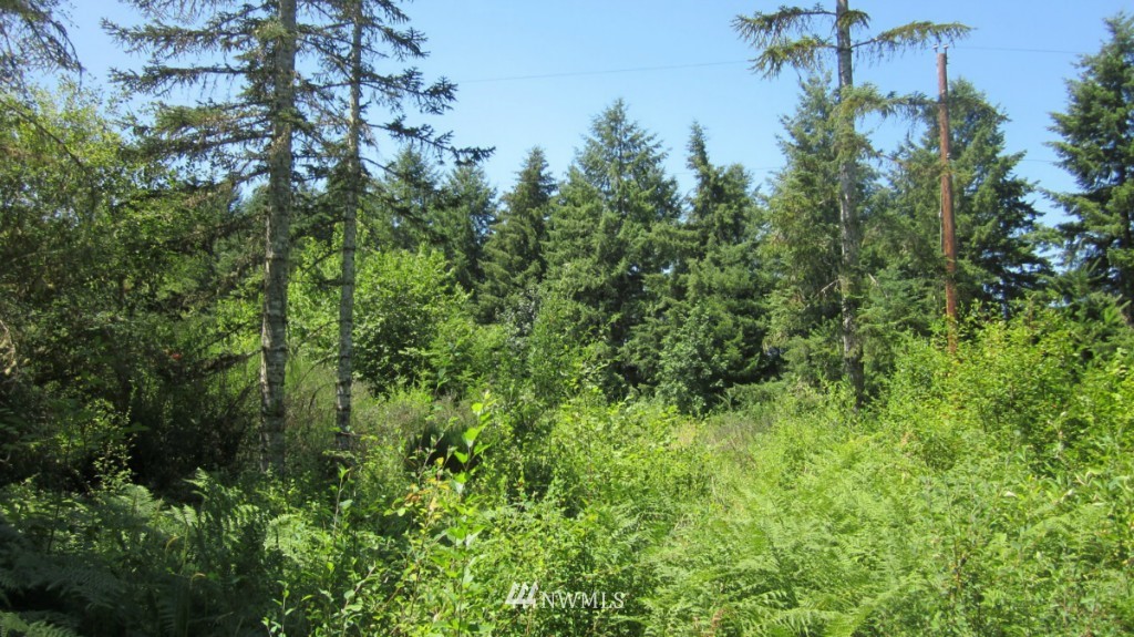 112 Brim Creek Road Vader, WA 98593 - Photo 9 of 25