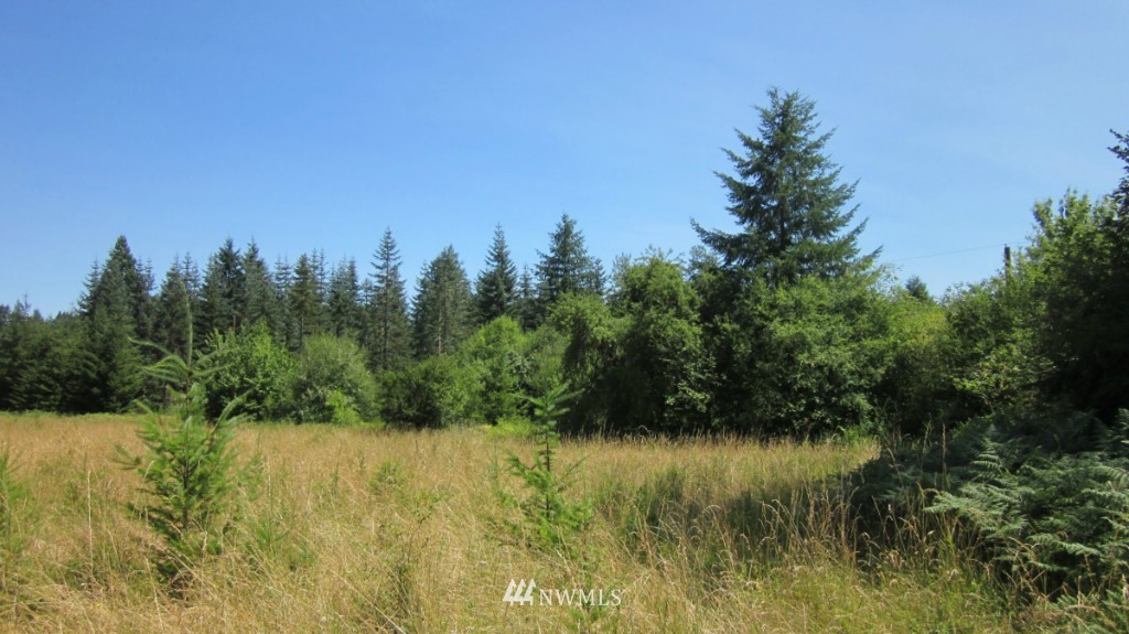 112 Brim Creek Road Vader, WA 98593 - Photo 10 of 25