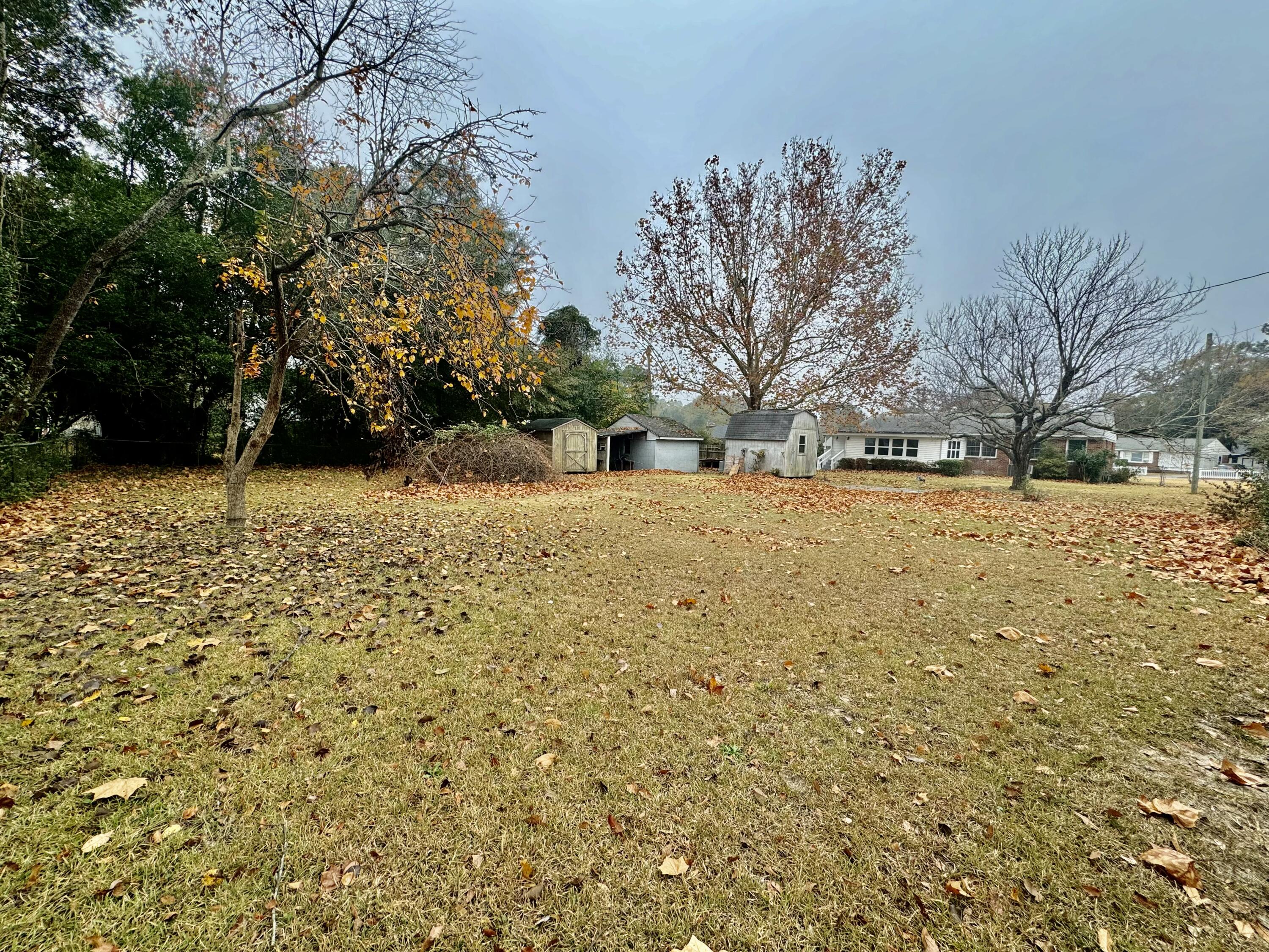 202 Old Whiskey Road North New Ellenton, SC 29809 - Photo 31 of 40