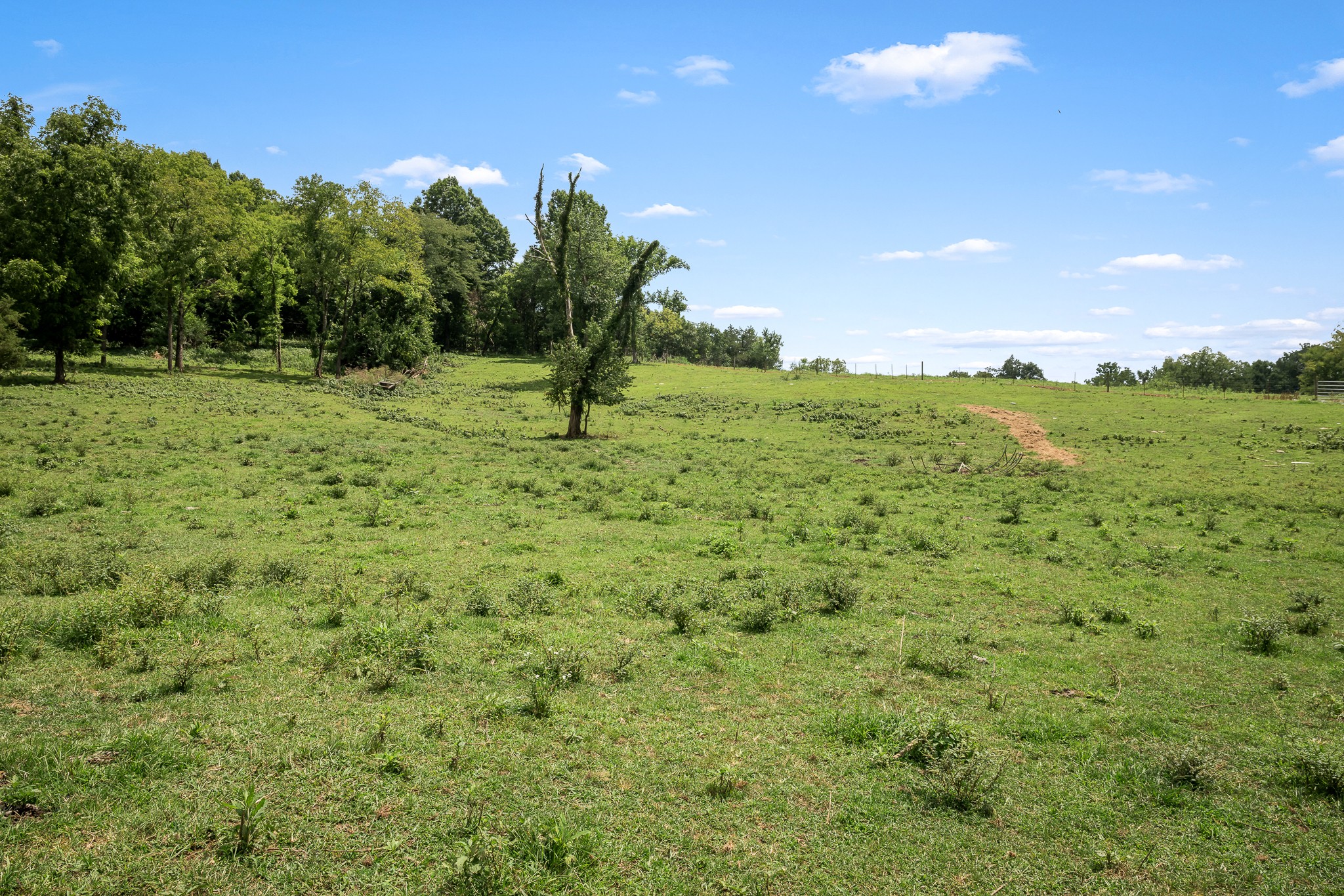 206 Hickerson Road Wartrace, TN 37183 - Photo 76 of 100 Gallery Image 76
