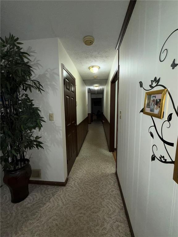 217 Babbs Mill Road Hampton, GA 30228 - Photo 20 of 39 a view of a hallway with potted plant