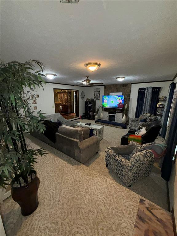 217 Babbs Mill Road Hampton, GA 30228 - Photo 2 of 39 a living room with furniture and a potted plant