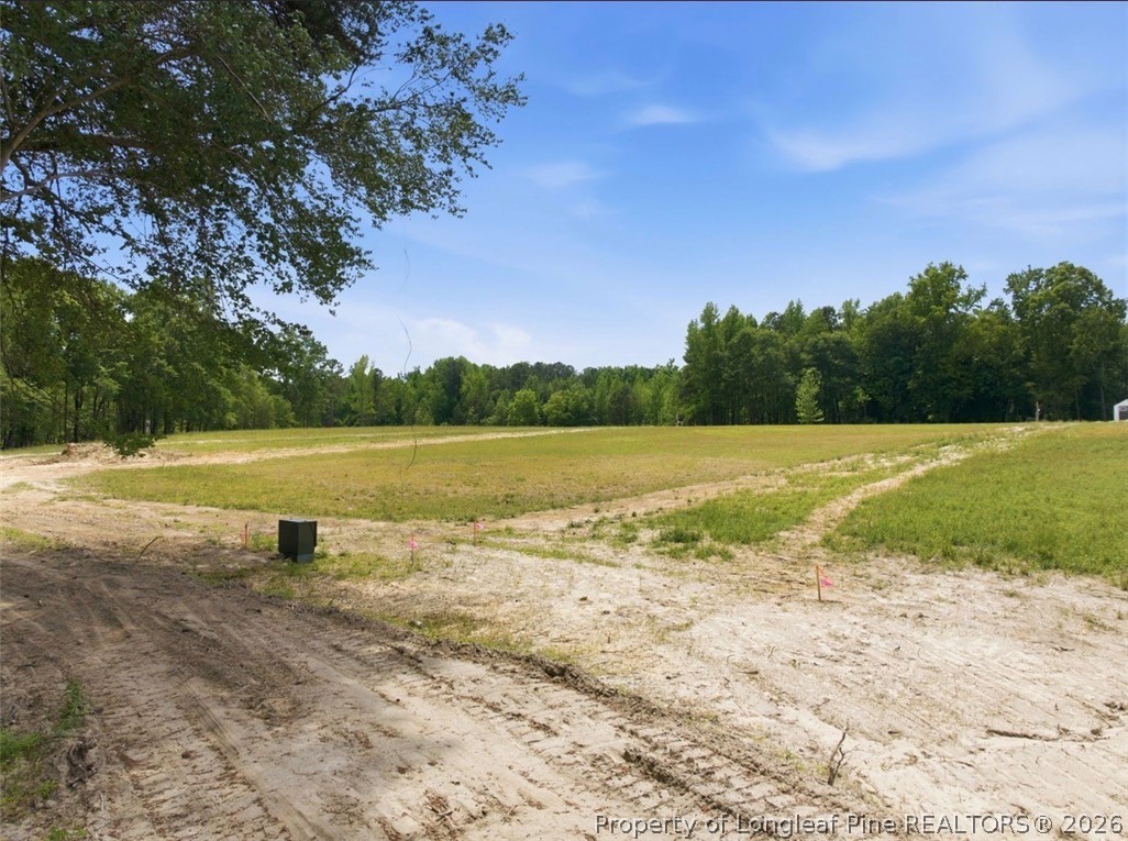 1098 Cedar Lane Road Sanford, NC 27332 - Photo 7 of 12 Base of Property at Easement