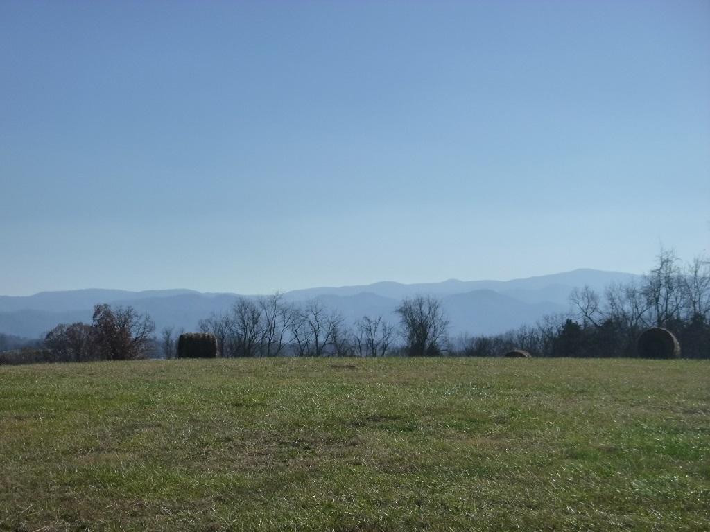 195 Garland Road Limestone, TN 37681 - Photo 5 of 36 Photo 5