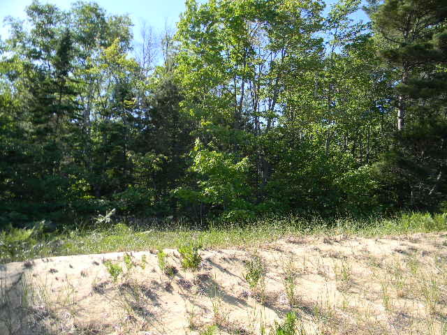14098 North Bear Road Paradise, MI 49768 - Photo 8 of 12 Gallery Image 8