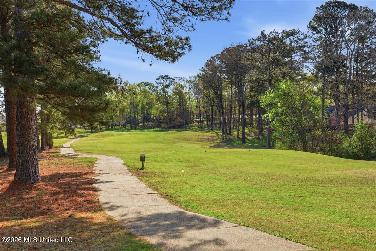 827 Annandale Road Madison, MS 39110 - Photo 6 of 44 39-827 Annandale Rd _ Hom Tours MS