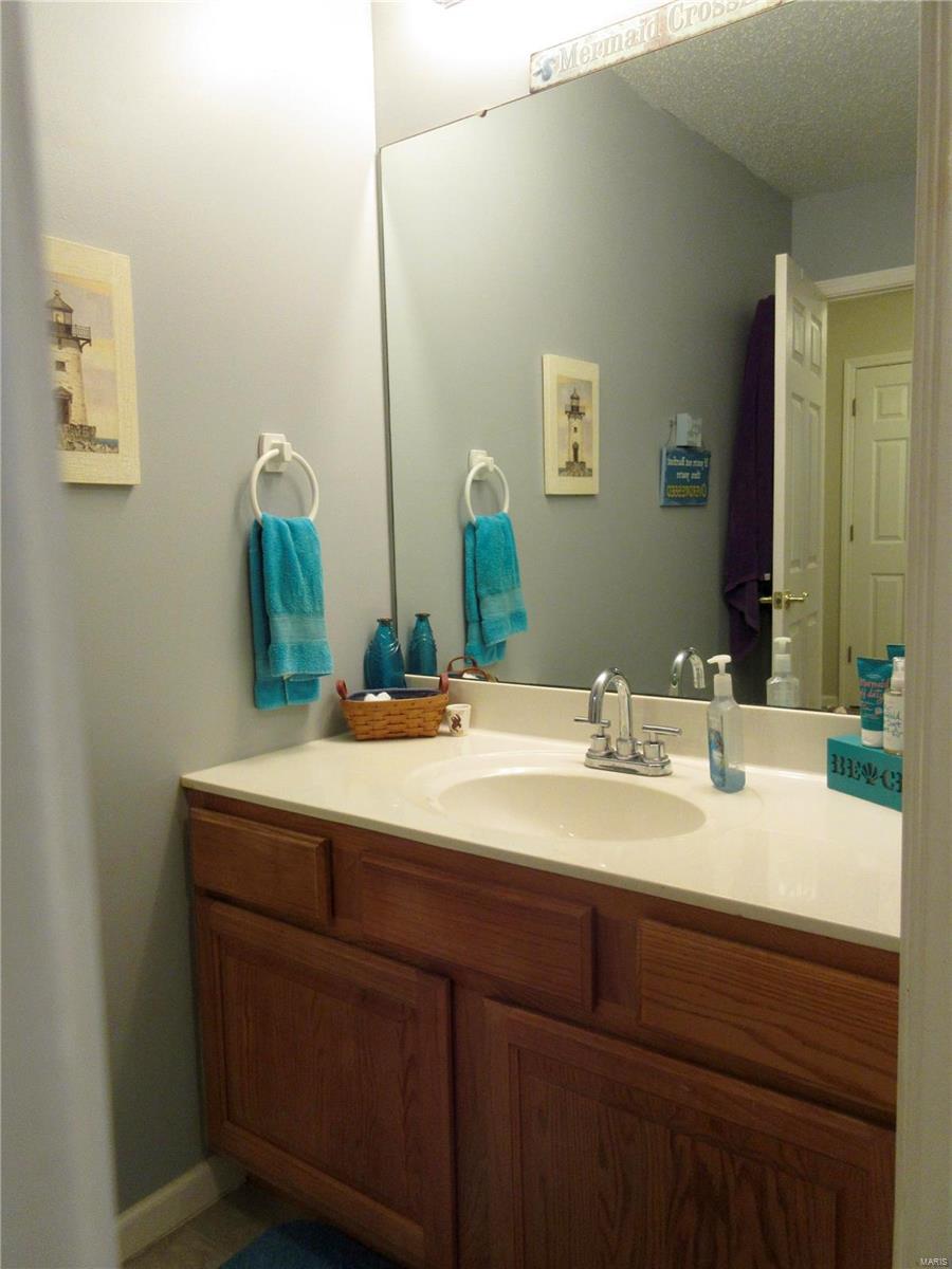 137 North Meadow Ridge Trail Edwardsville, IL 62025 - Photo 23 of 27 Gallery Image 23