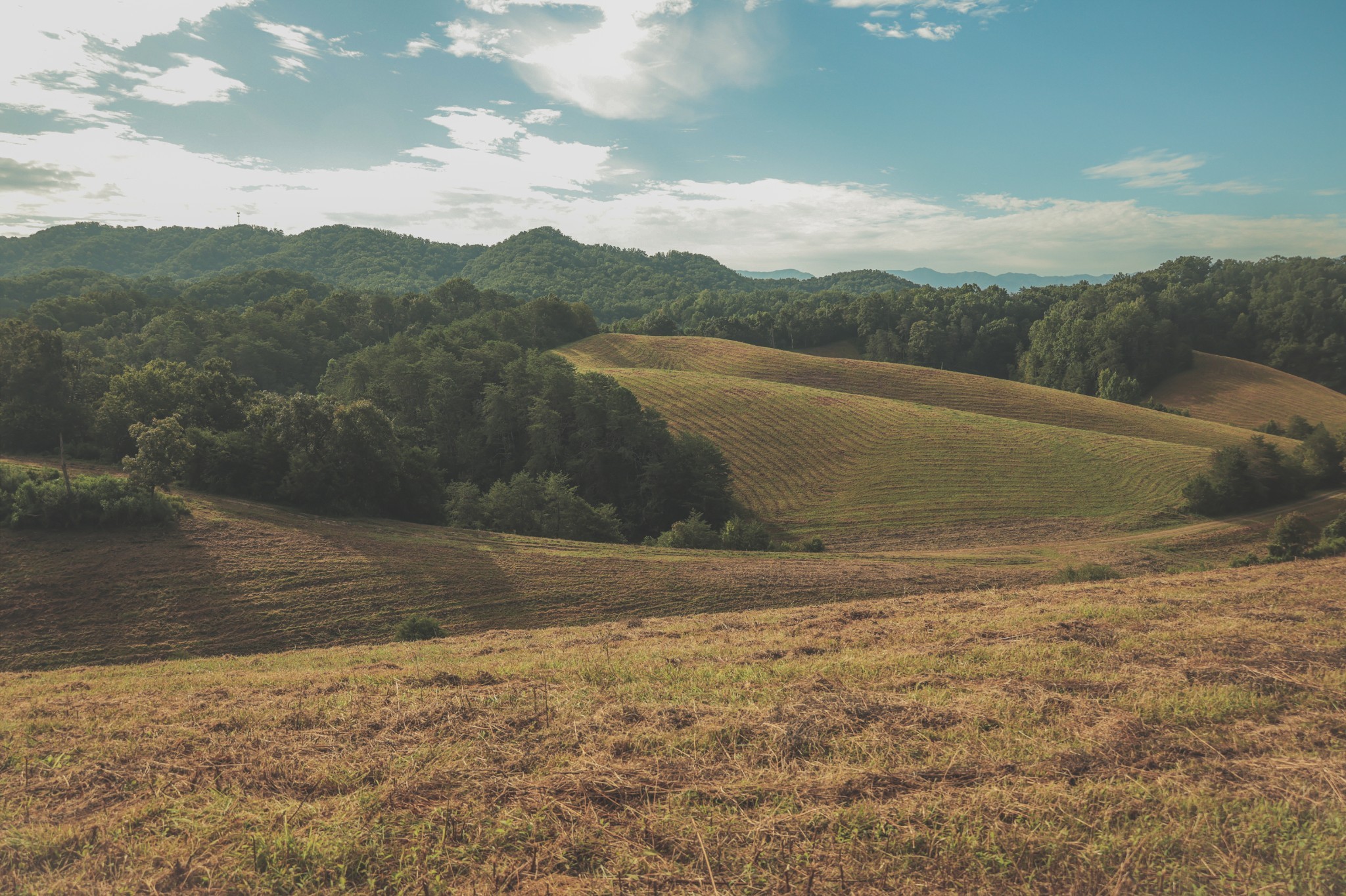 1634 Dixon Branch Road Sevierville, TN 37876 - Photo 79 of 86 Gallery Image 79