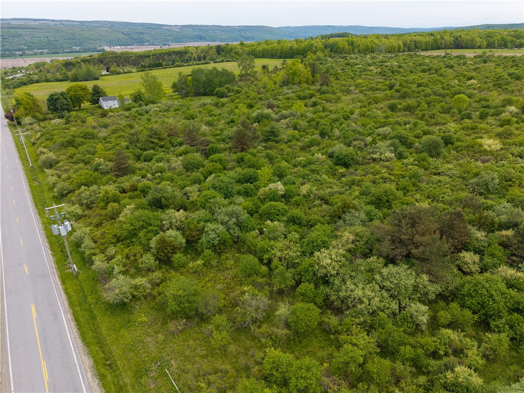 Rock Spring Hill Road Dansville, NY 14437 - Photo 17 of 20