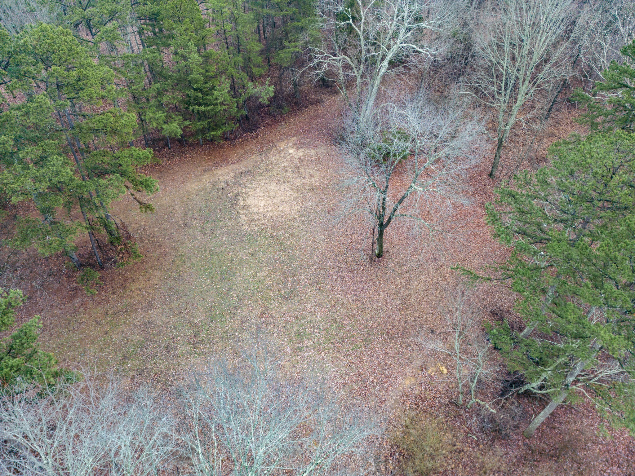 0 Leiderman Road Trenton, GA 30752 - Photo 16 of 50