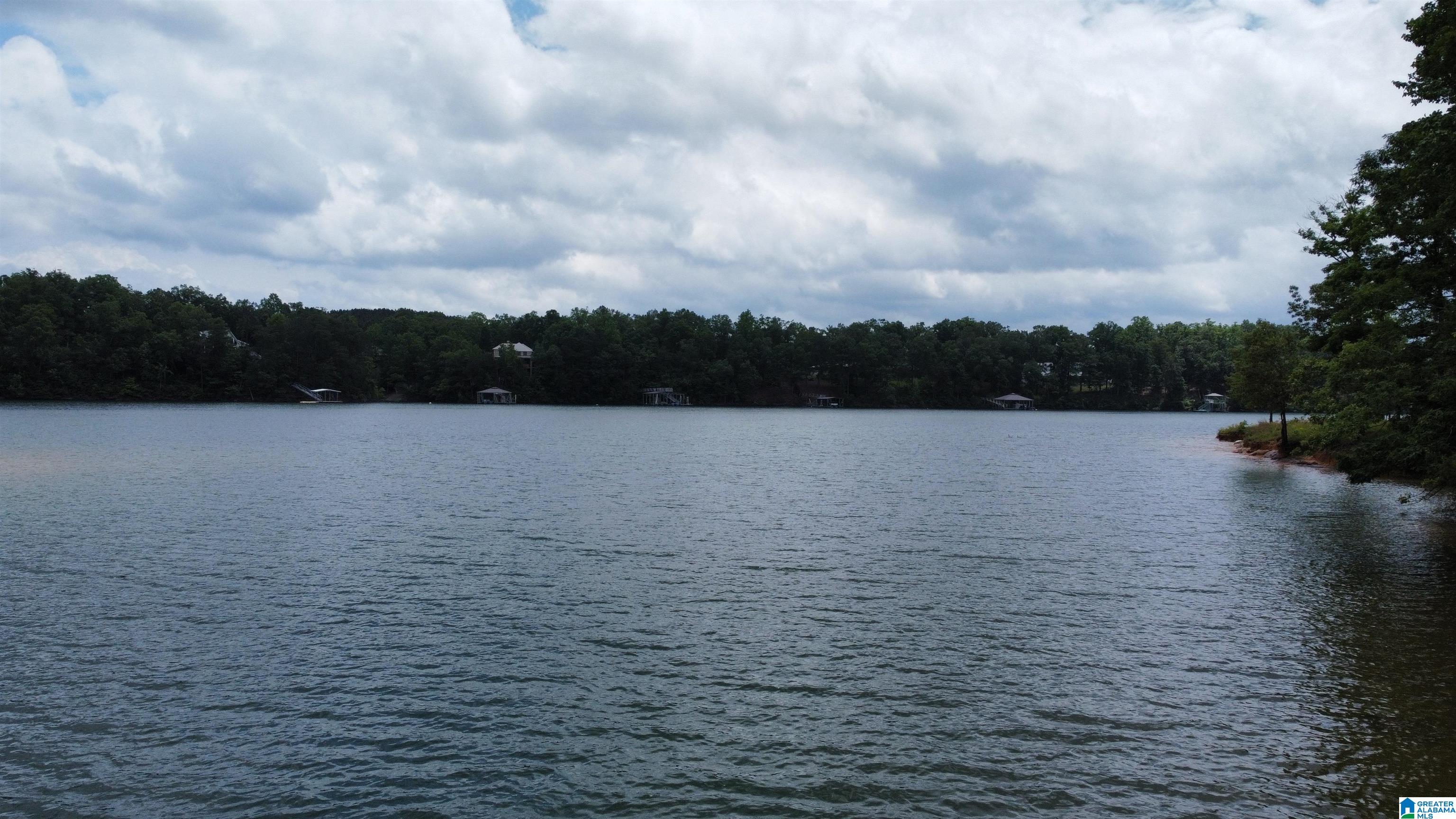 Lot 9 Edgewater Bend Road, Unit 9 Arley, AL 35541 - Photo 12 of 14
