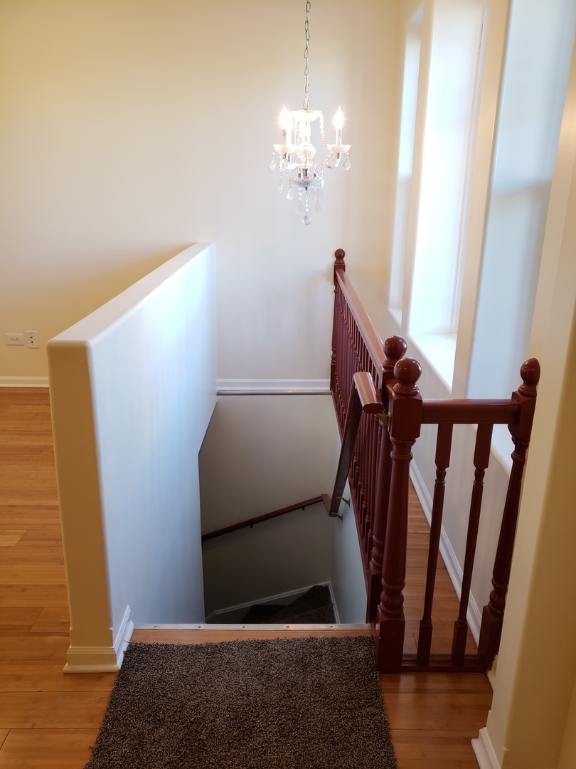 54 East 50th Street, Unit 1 Chicago, IL 60615 - Photo 15 of 27 a view of entryway